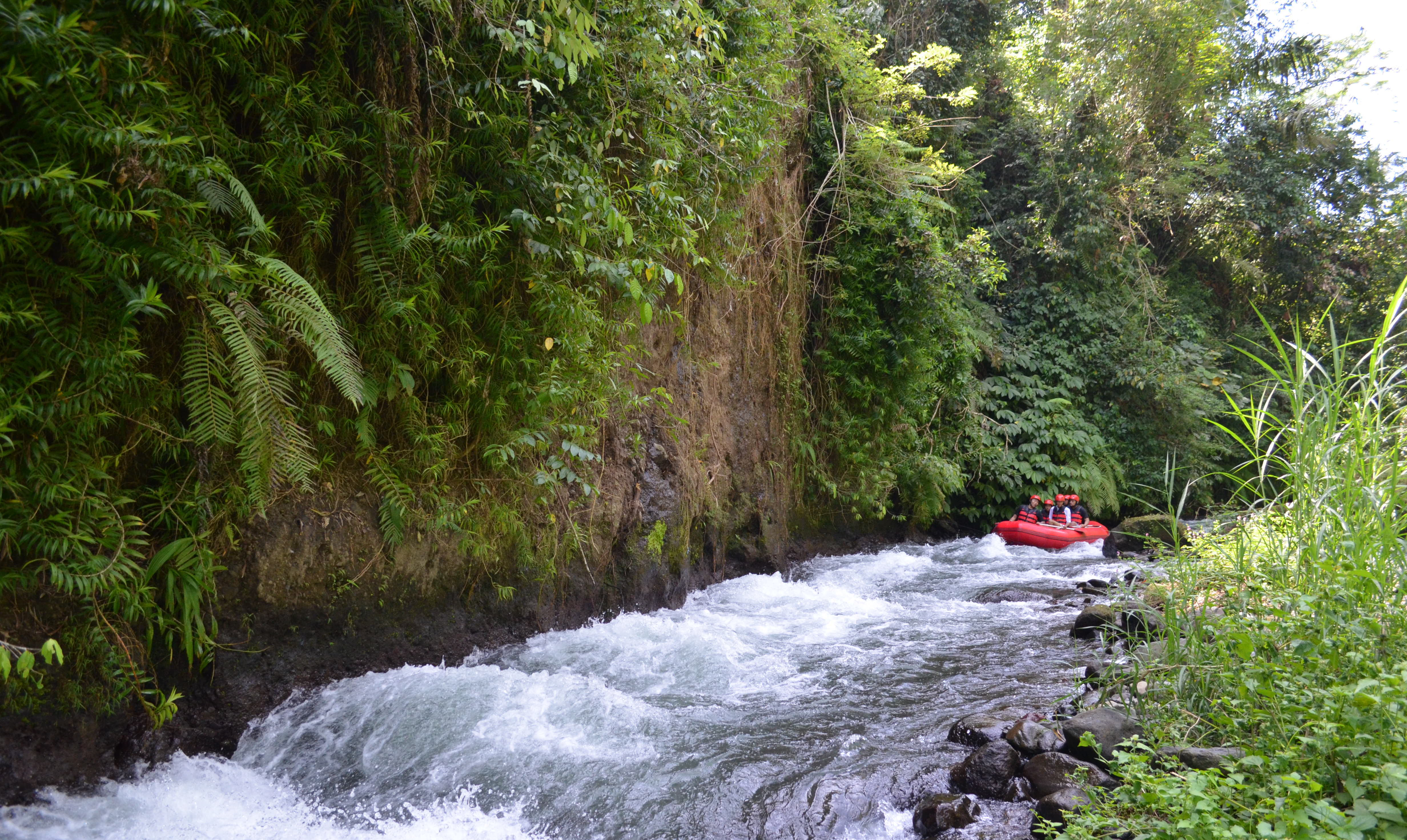 Rafting Ubud. Rejser til Bali.jpg