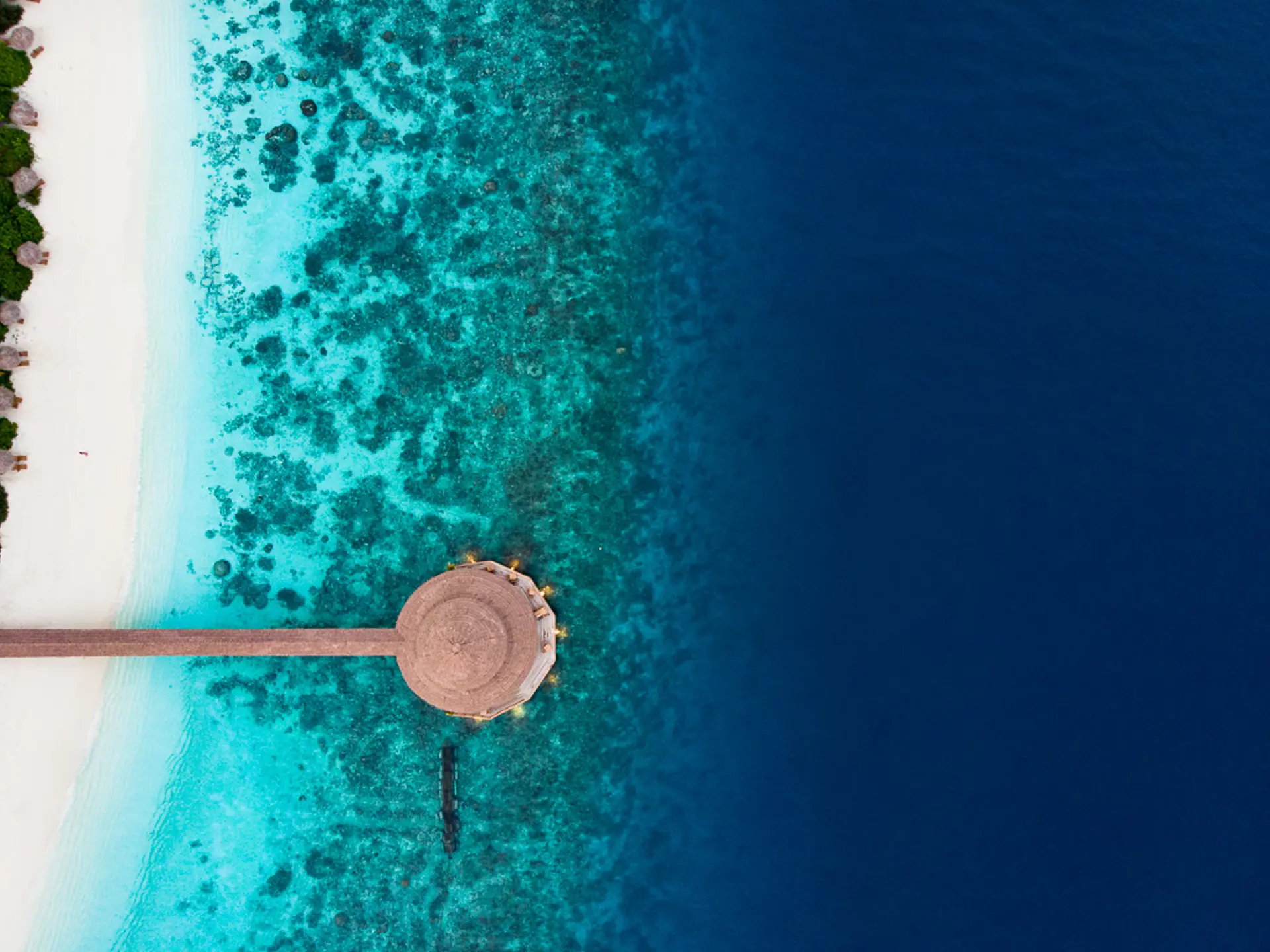 DJI_0102.jpg