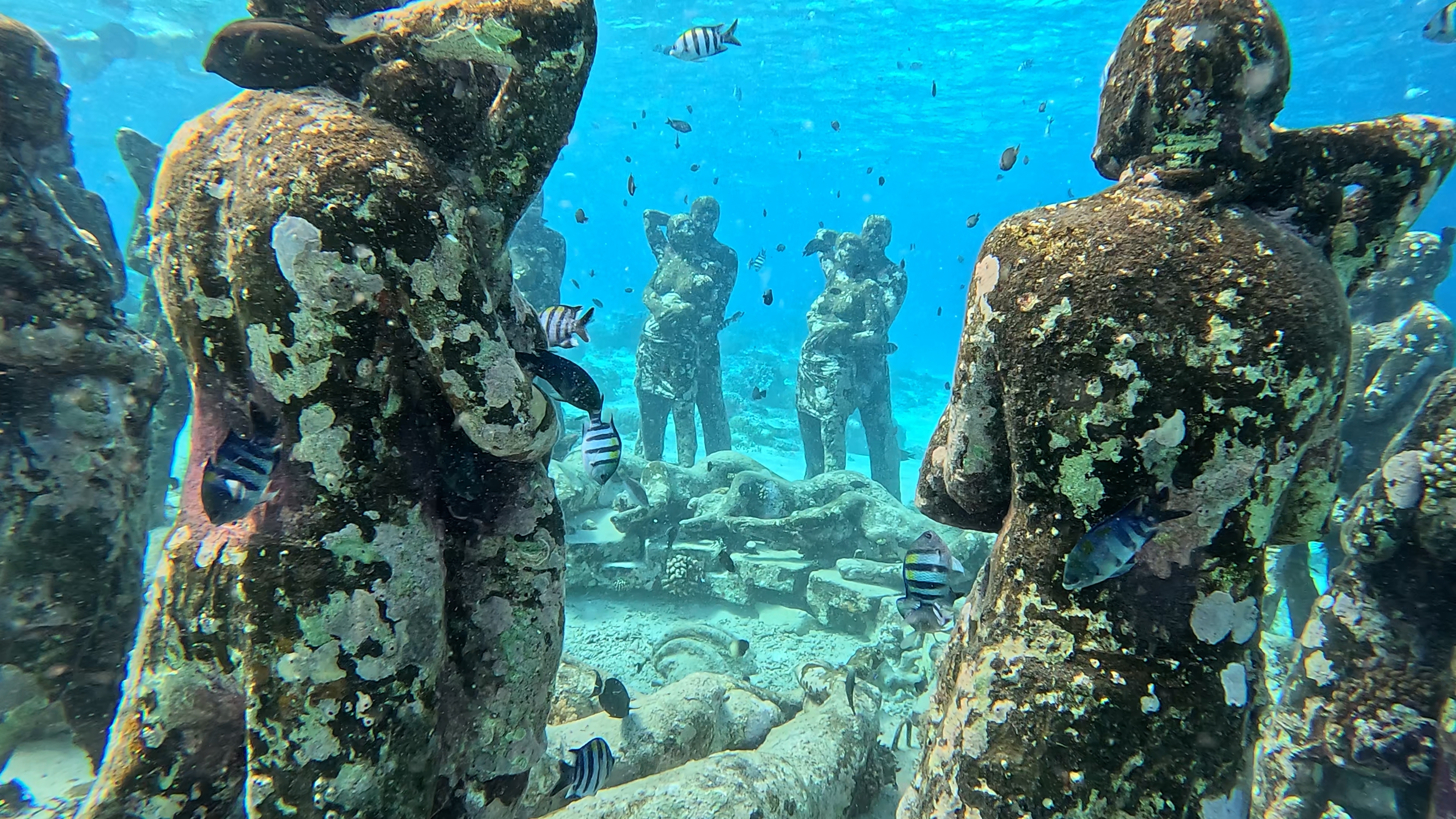 Gili Meno The Nest Lombok Shutterstock 2535433905