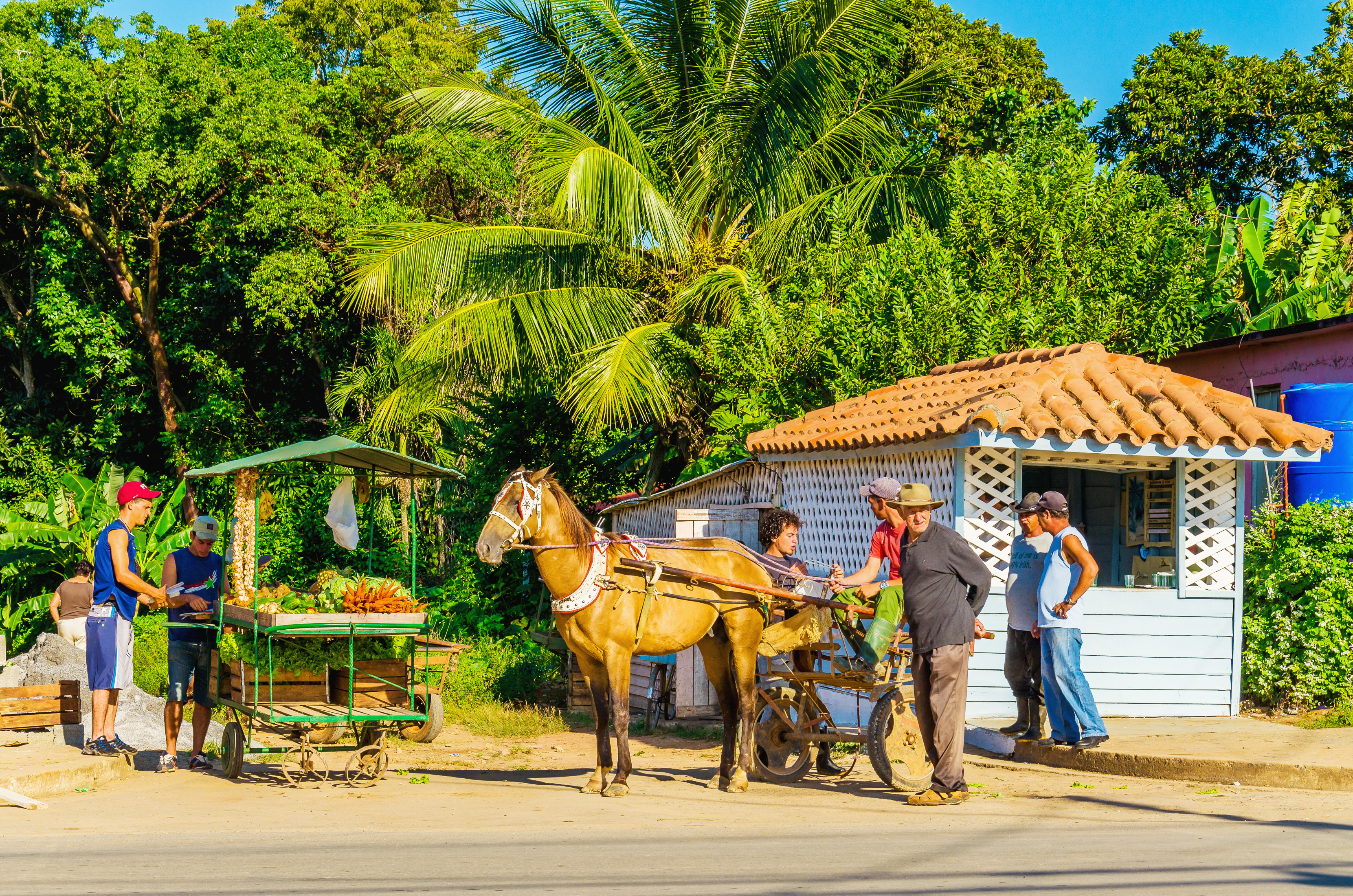 shutterstock_253726642  The main street of Vinales with street stalls.jpg