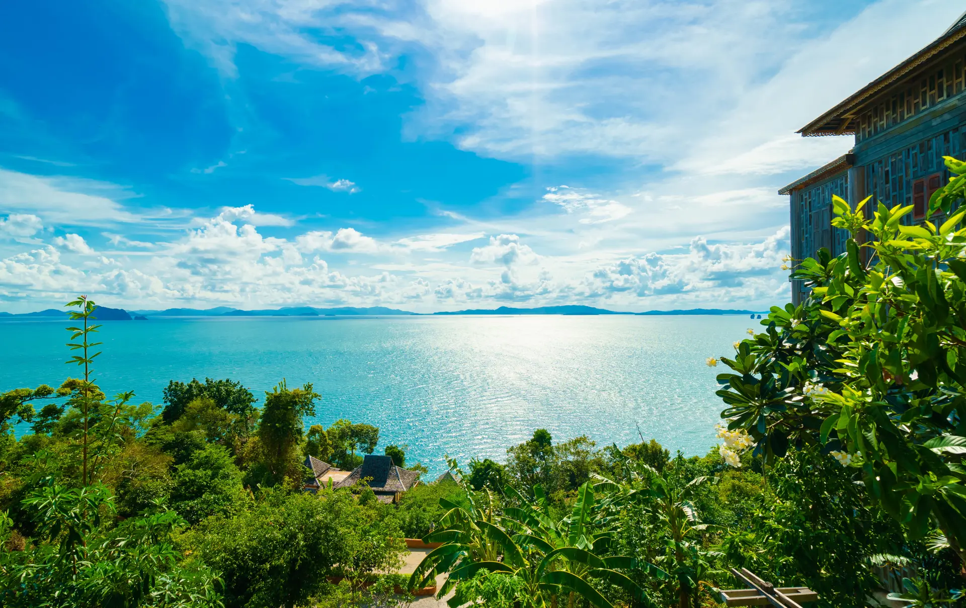 View.jpg