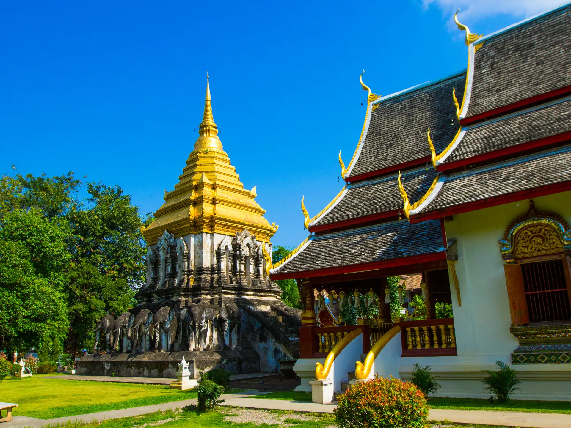 Chiang Mai Wat Chiang Man.jpg