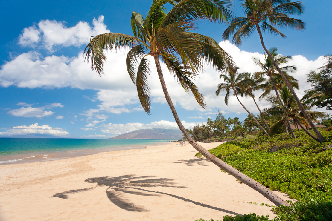 shutterstock_139755364 beautiful tropical beach in south maui hawaii.jpg