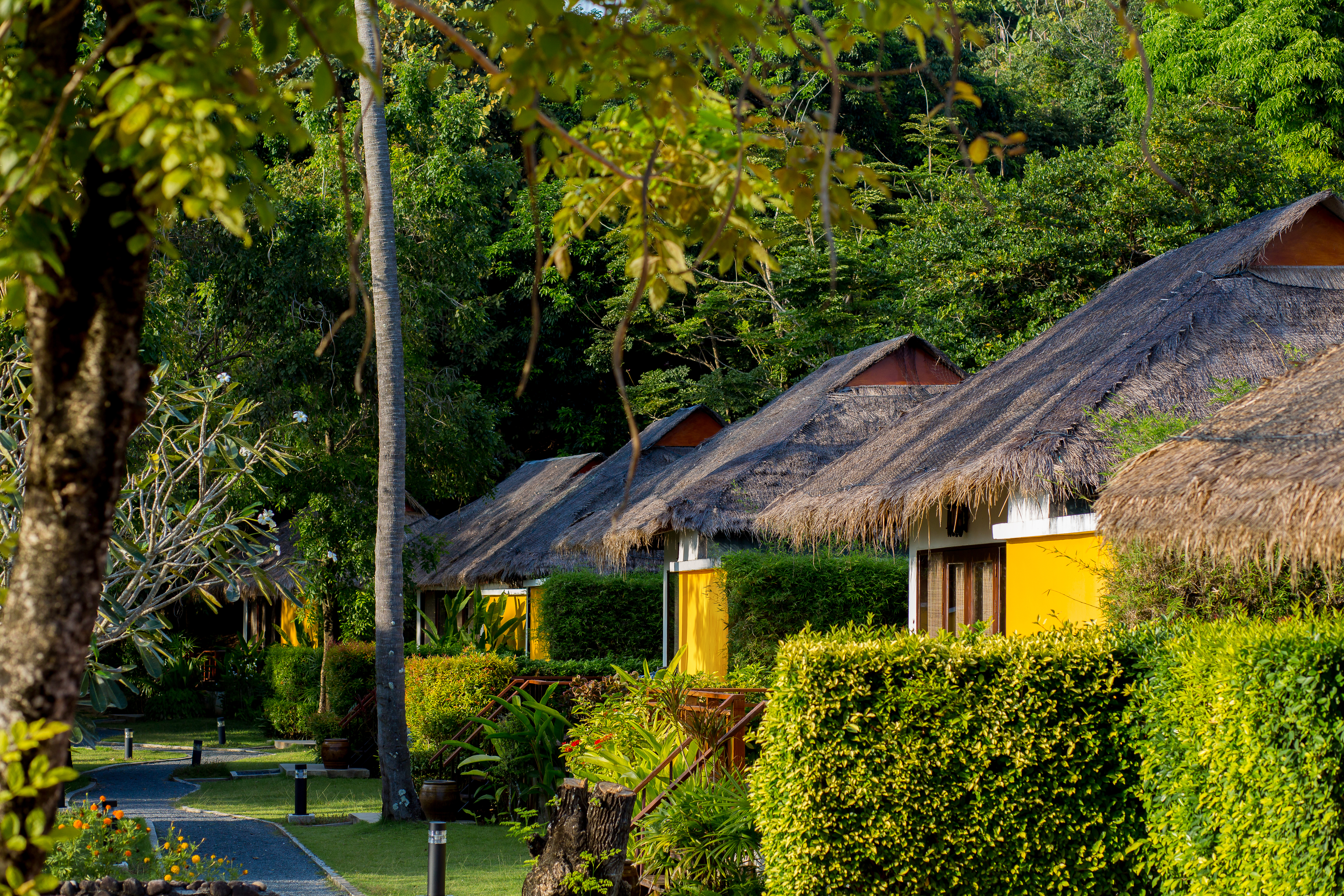 Glow Elixir Koh Yao Yai_0014.jpg