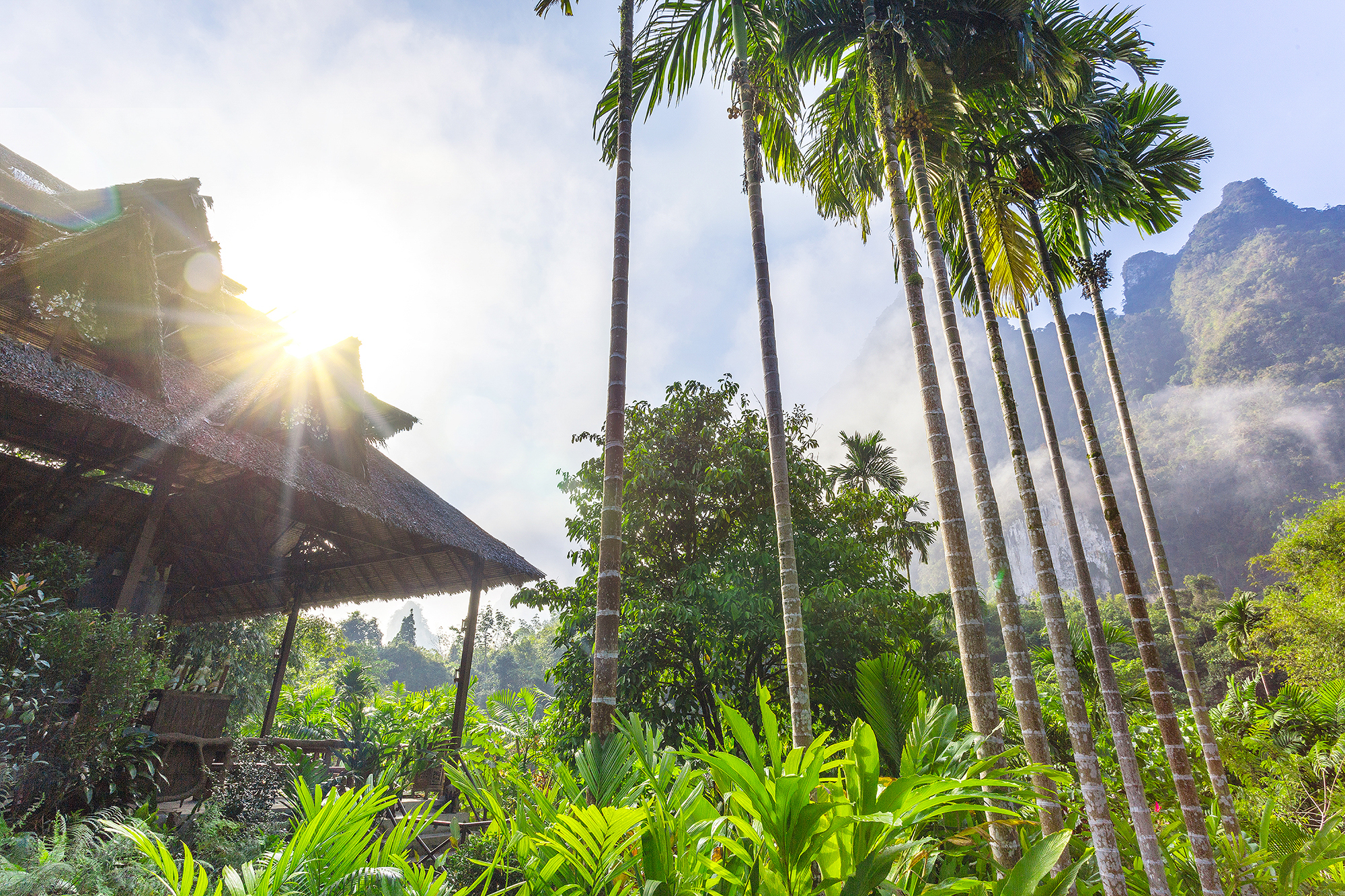 e1 Elephant Hills Luxury Tented Camp Khao Sok National Park, Thailand, The Elephant Camp.jpg