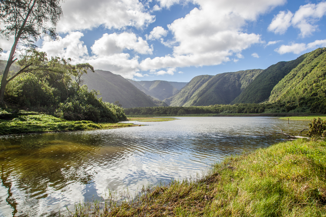 Pololu Valley big island.jpg