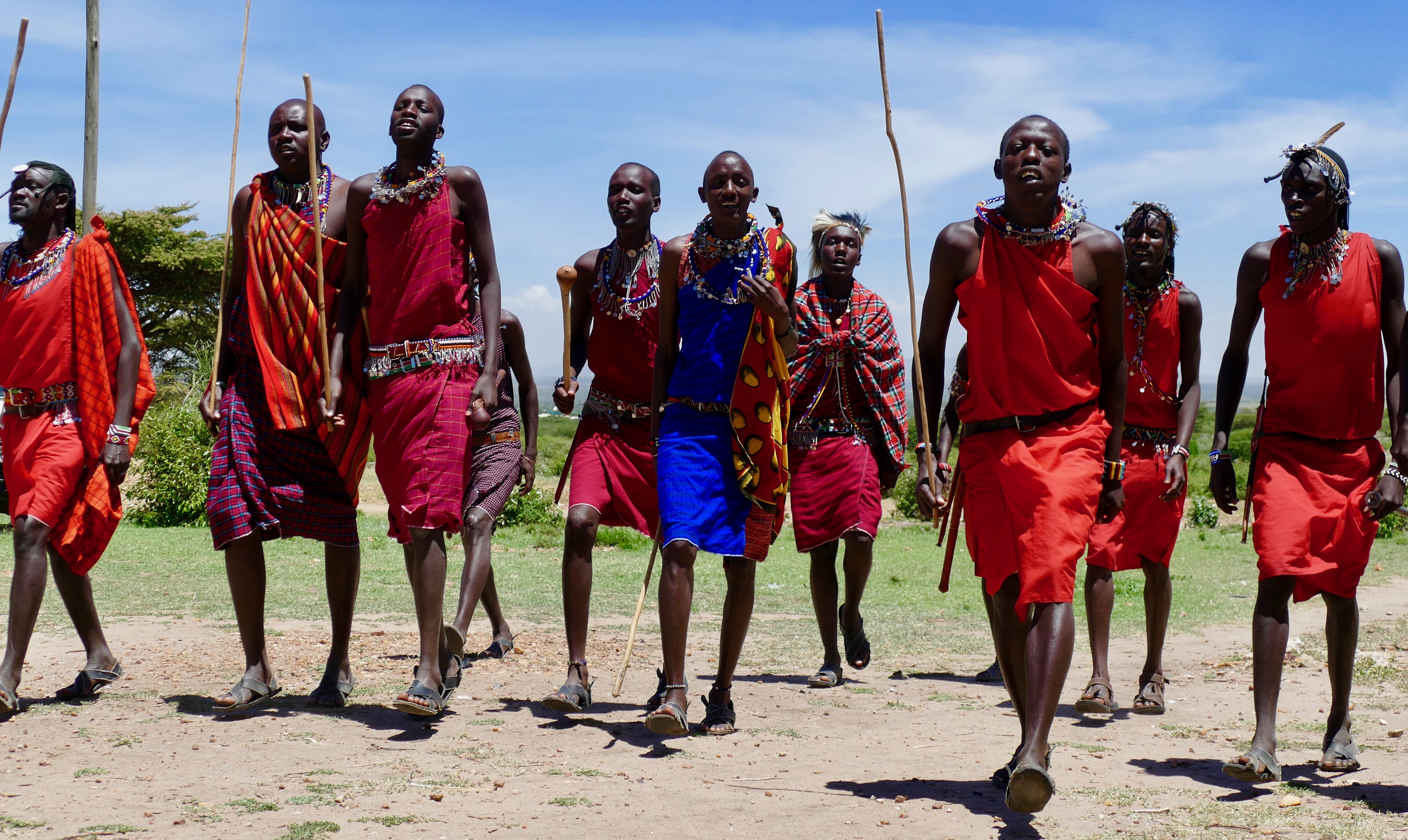 Dyr Kenya Mara28