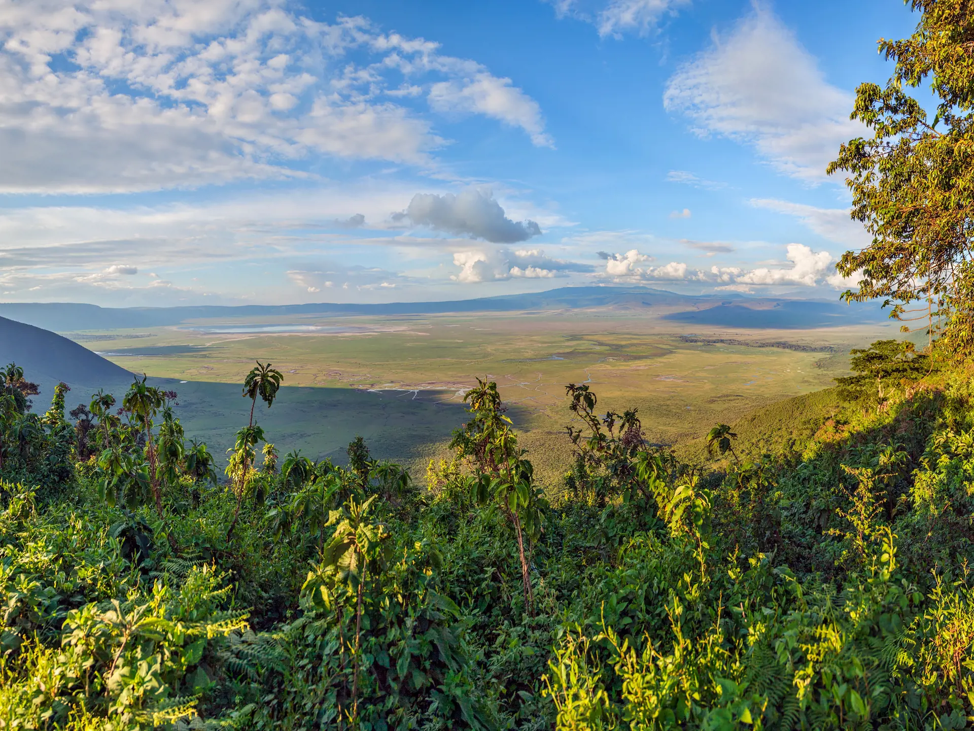 Dyr Ngorongoro15