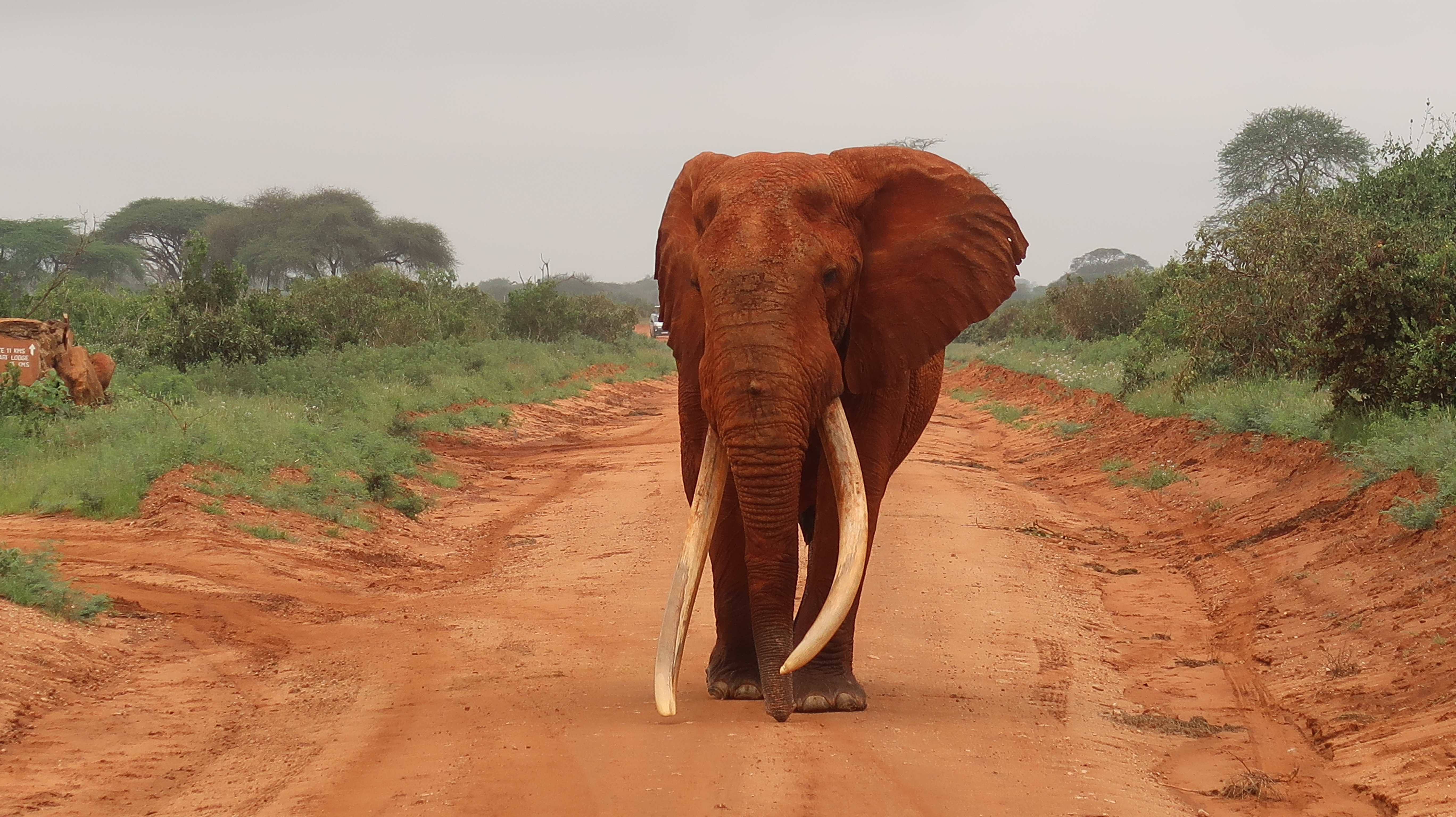 Shutterstock 1372630361