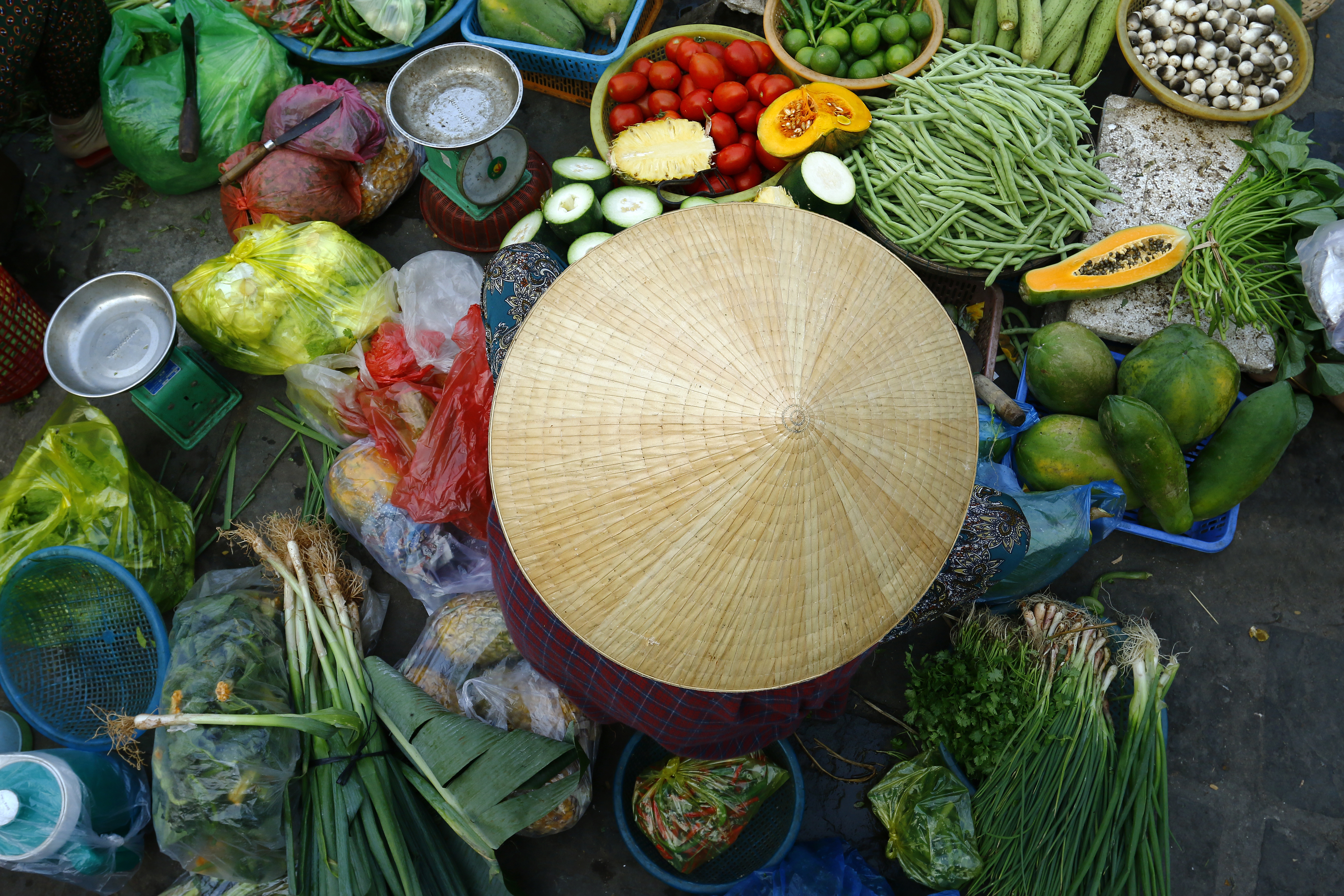 Adobestock 167558109