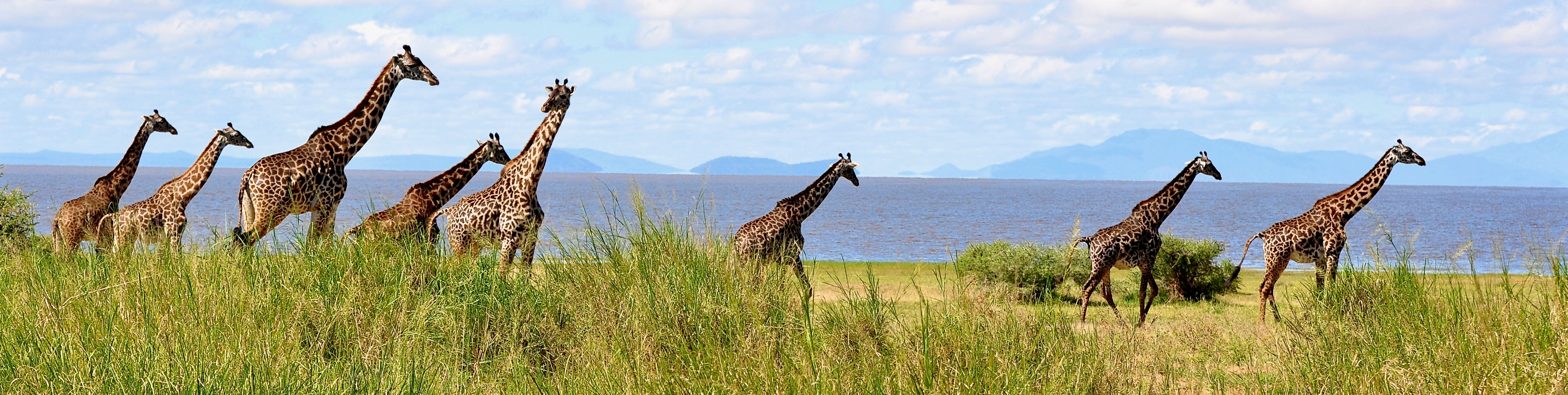 Shutterstock 1103005217