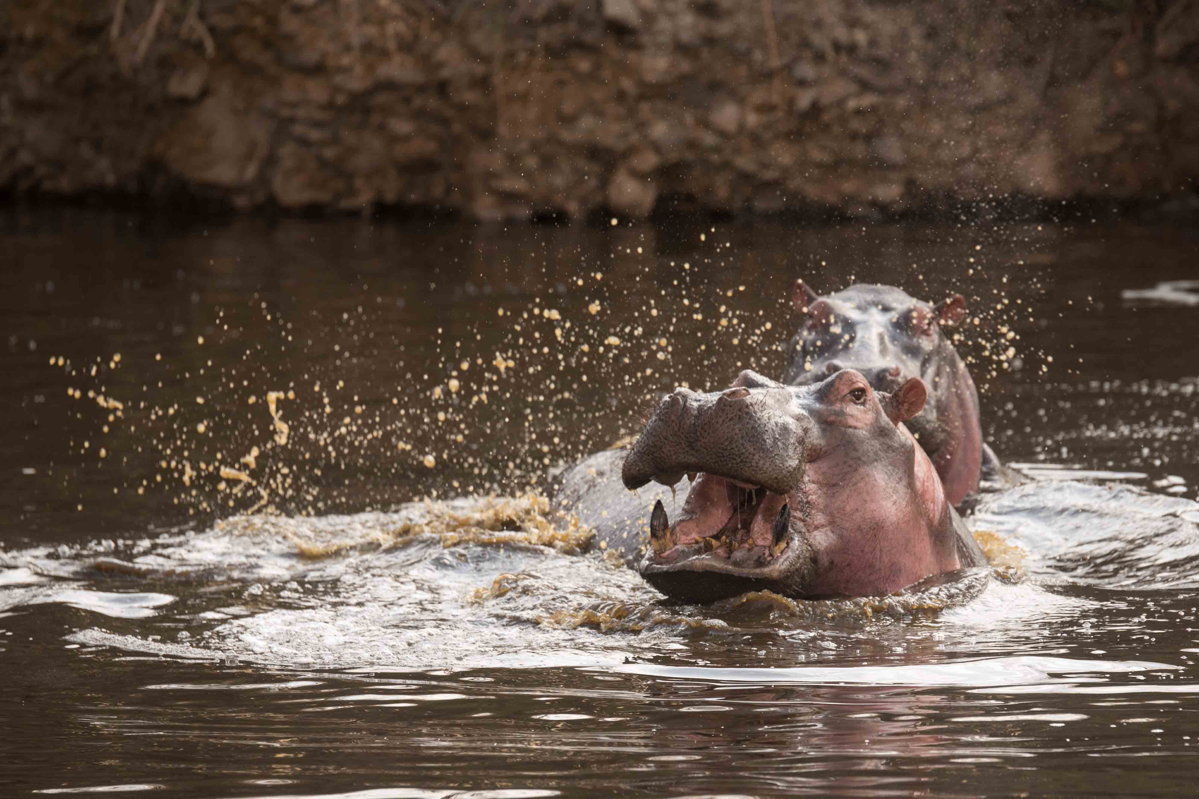 Ole Serai Luxury Camps Moru Kopjes (11)