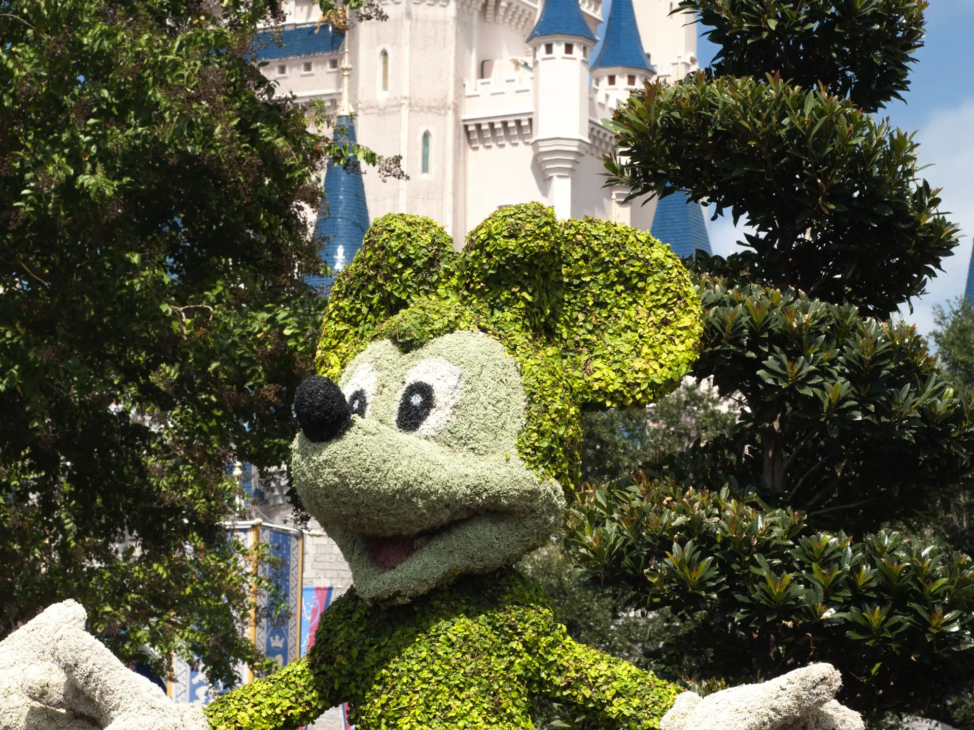 Orlando_DISNEY WORLD, FLORIDA.jpg