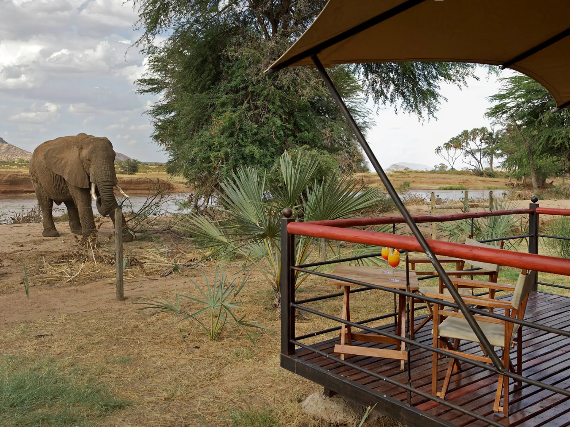 Ashnil Samburu Lodge7