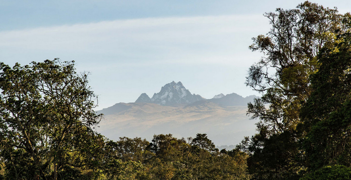 Skærmbillede 2019 09 26 Kl. 18.15.03