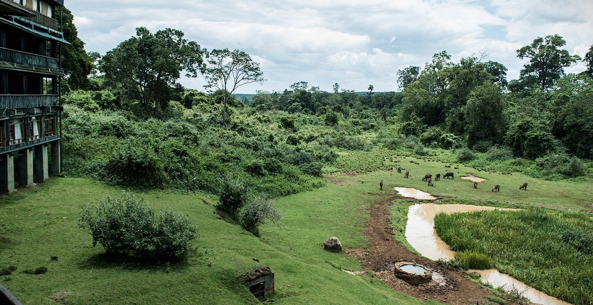 Skærmbillede 2019 09 26 Kl. 18.12.25