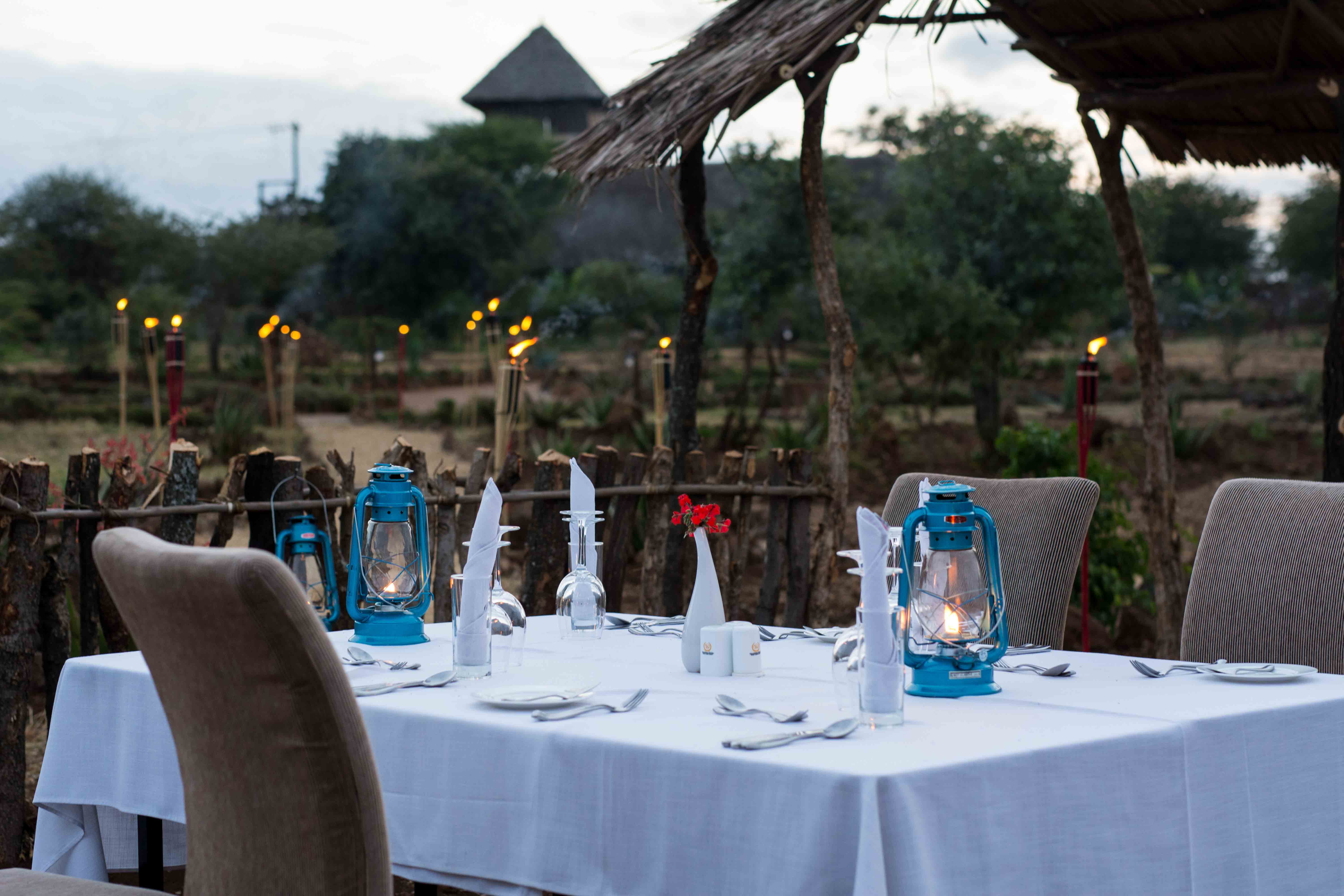 Lake Manyara Kilimamoja Lodge (50)