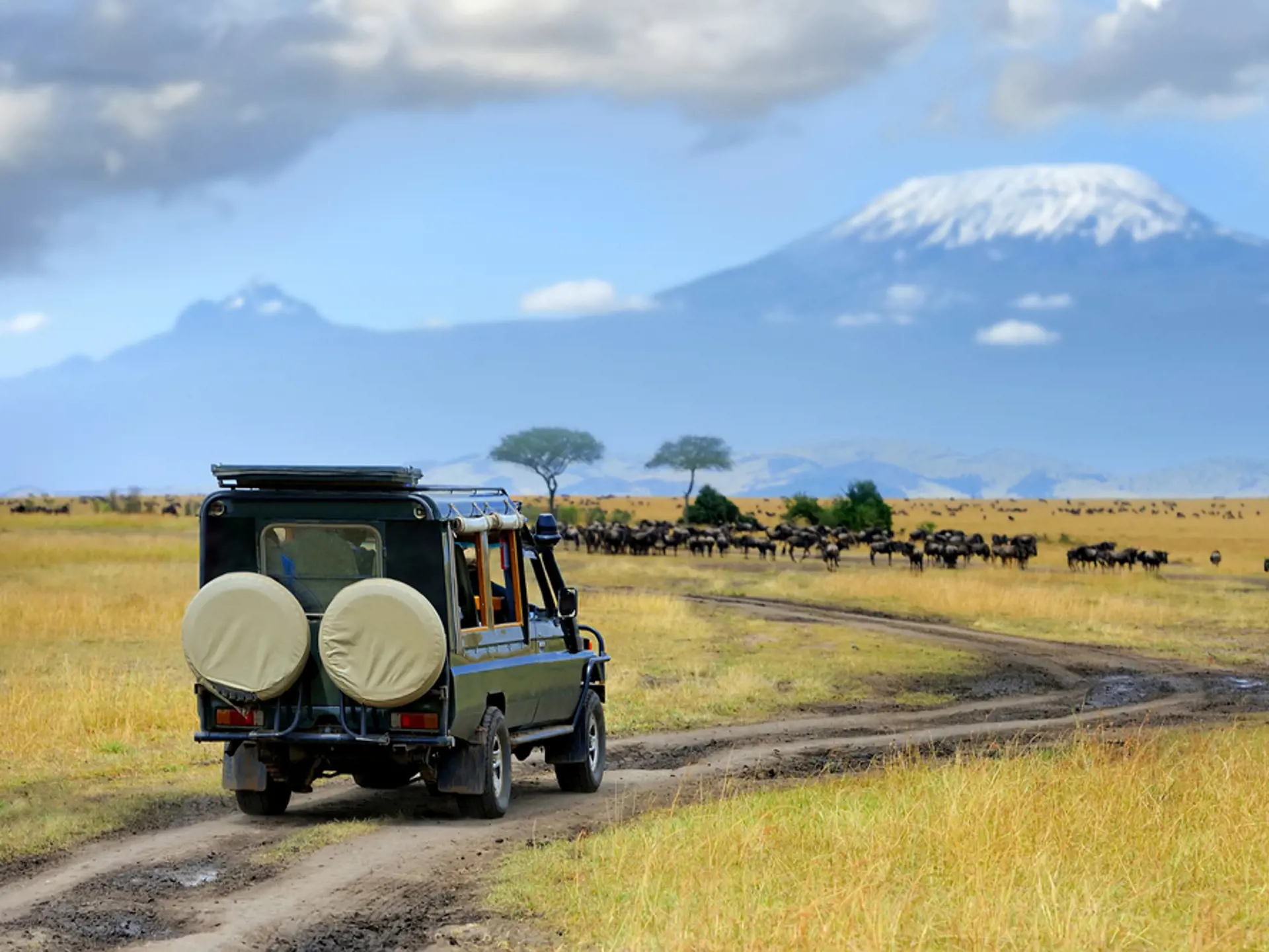 Masai Mara Game Drive