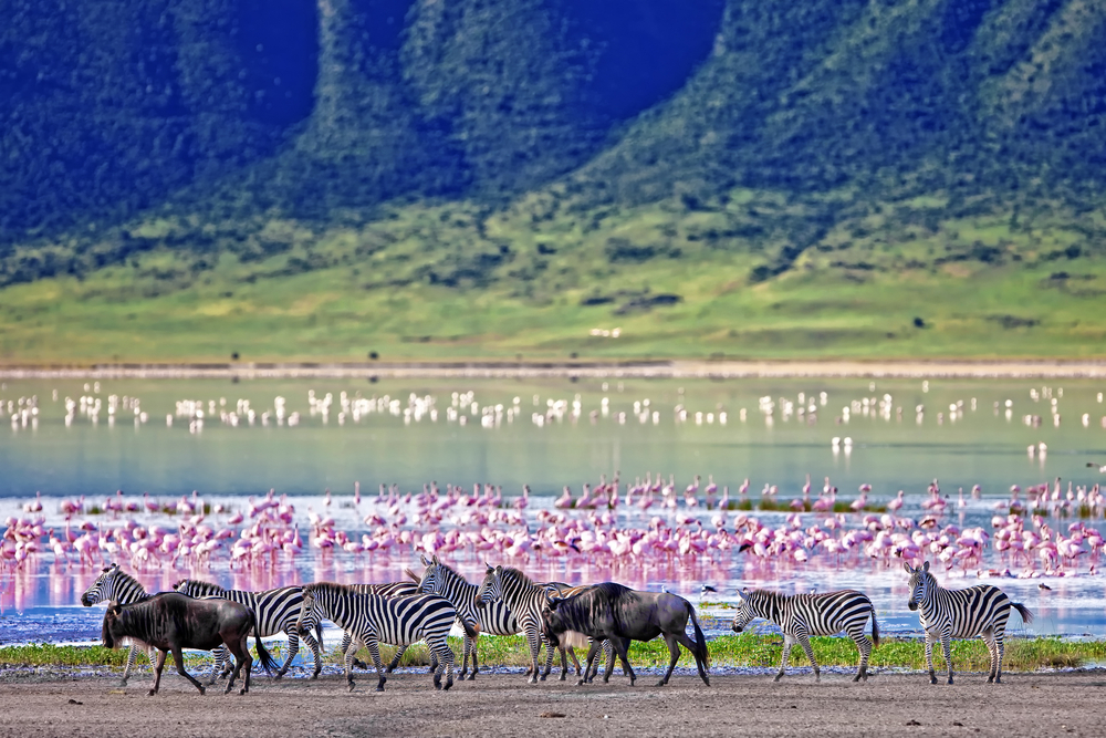 Ngorongoro Krater