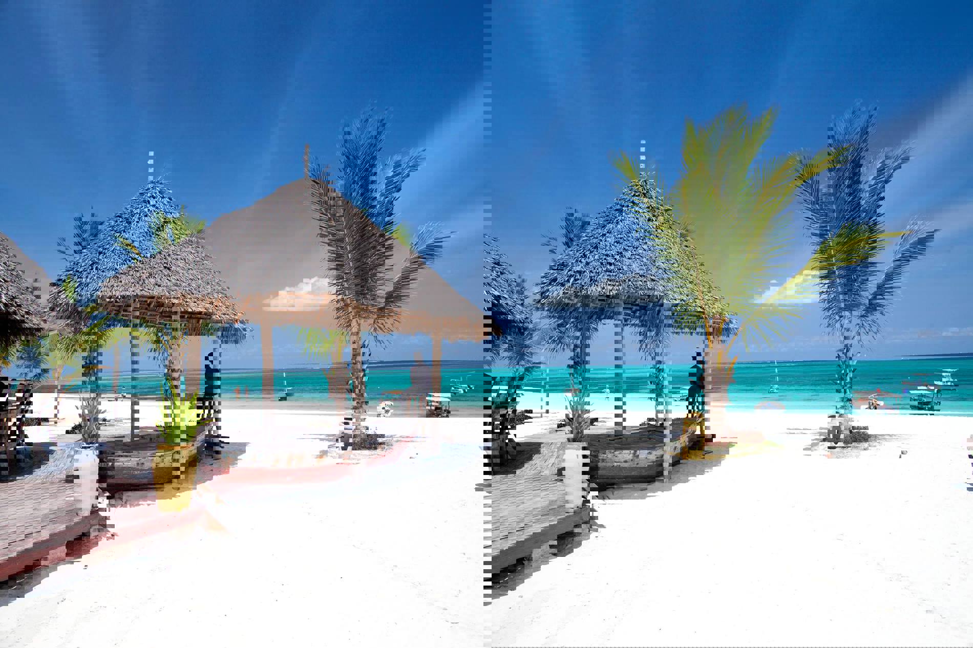 Kendwa Rocks Charmerende resort på stranden Bestil her!