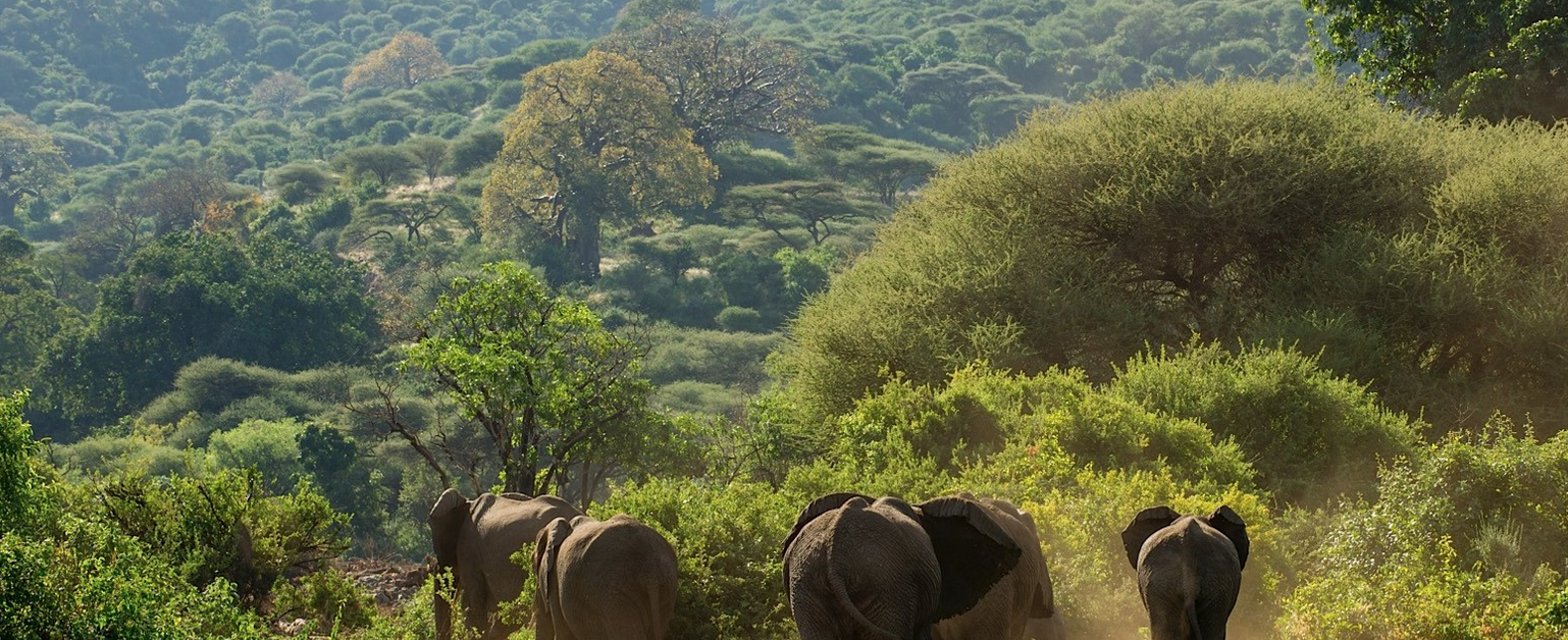 Skærmbillede 2019 09 25 Kl. 19.42.17