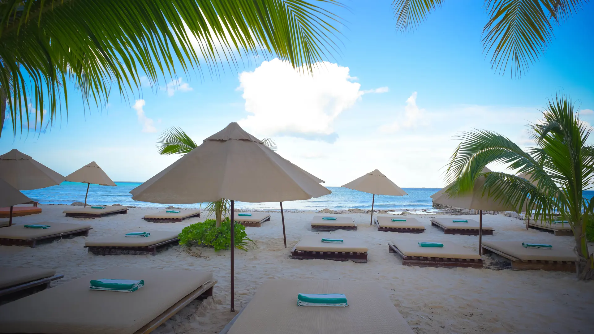 Beach View