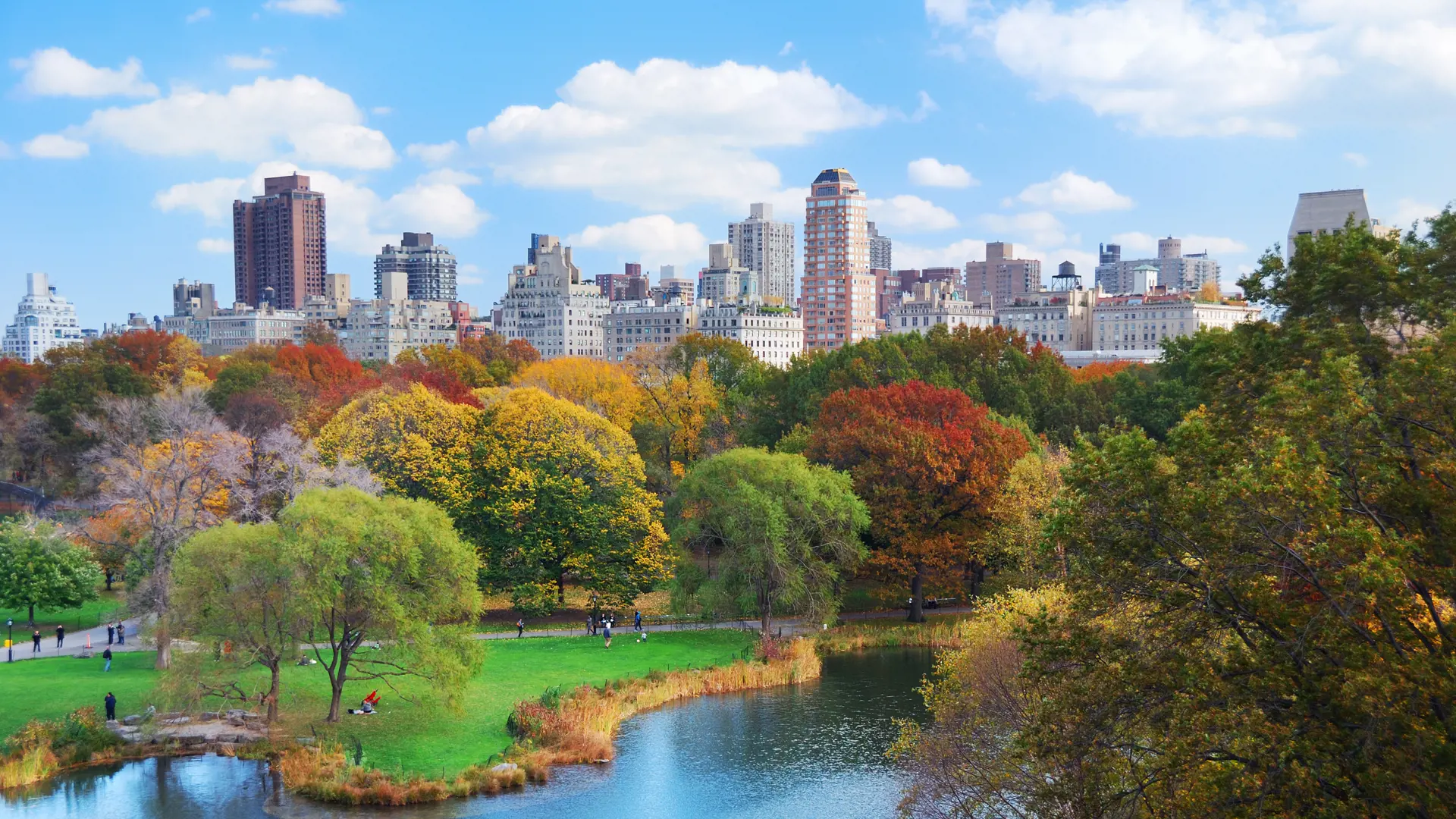 NEW YORK - Central park ligger som en imødekommende oase midt på Manhattan, og her finder du rekrative områder og diverse kulturarrangementer, Check Point Travel
