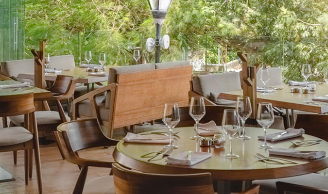 Harrys En Playa Del Carmen Restaurante Elegante