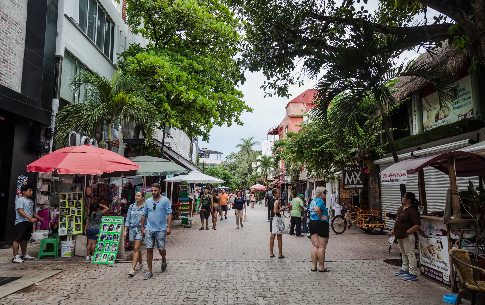 Shutterstock 1527680948