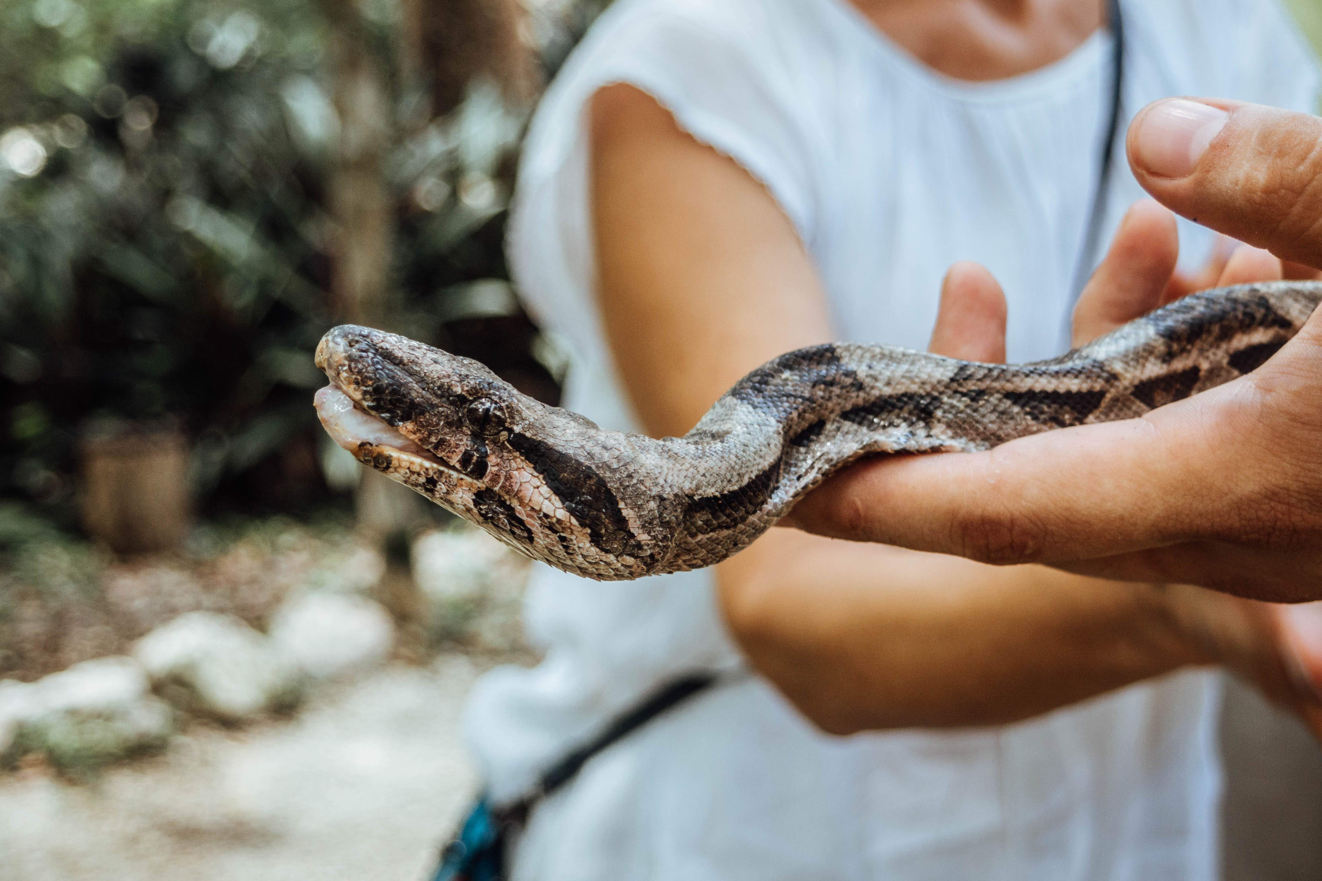 Akumalnaturaglamping 55