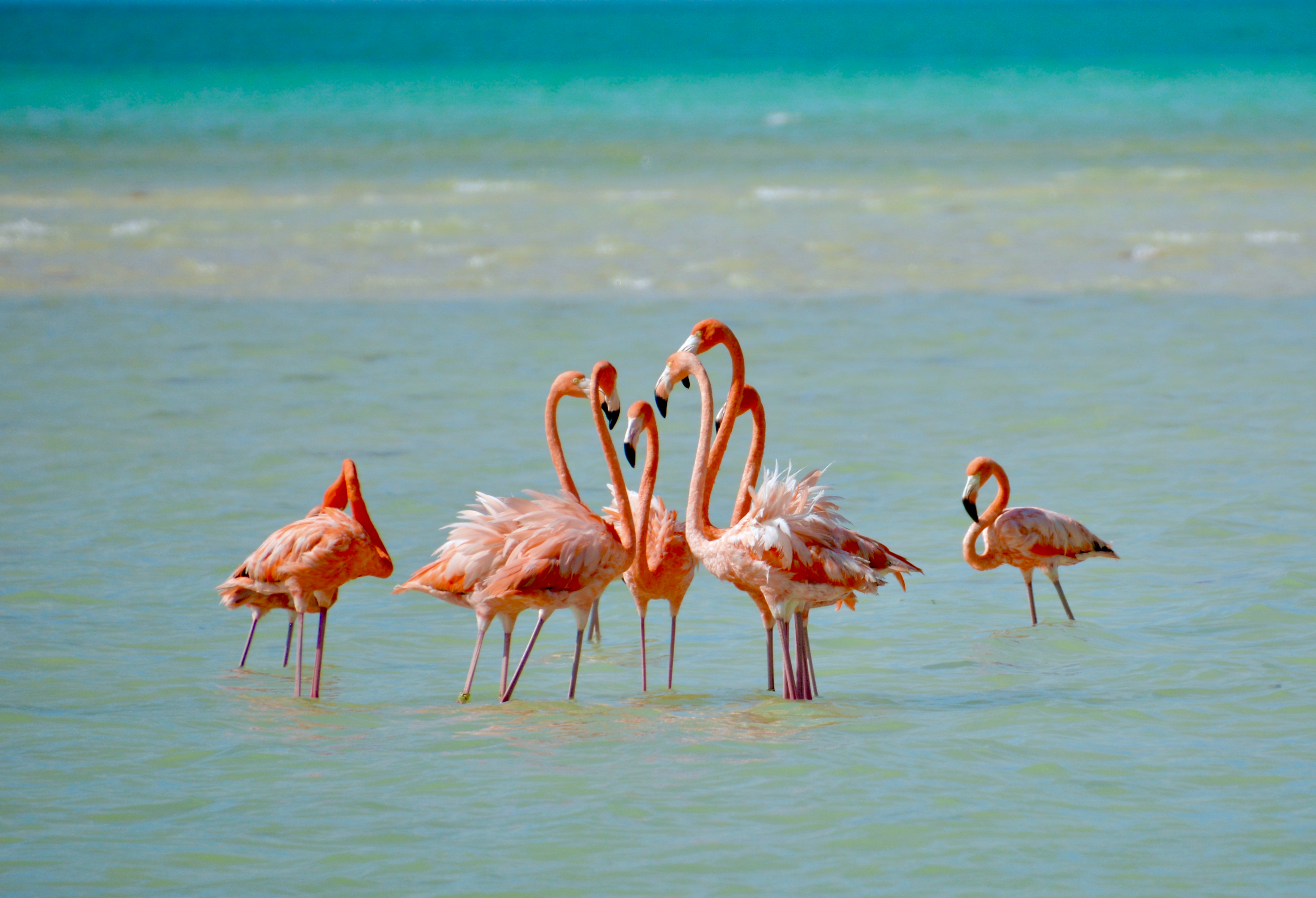 Shutterstock 1239435670