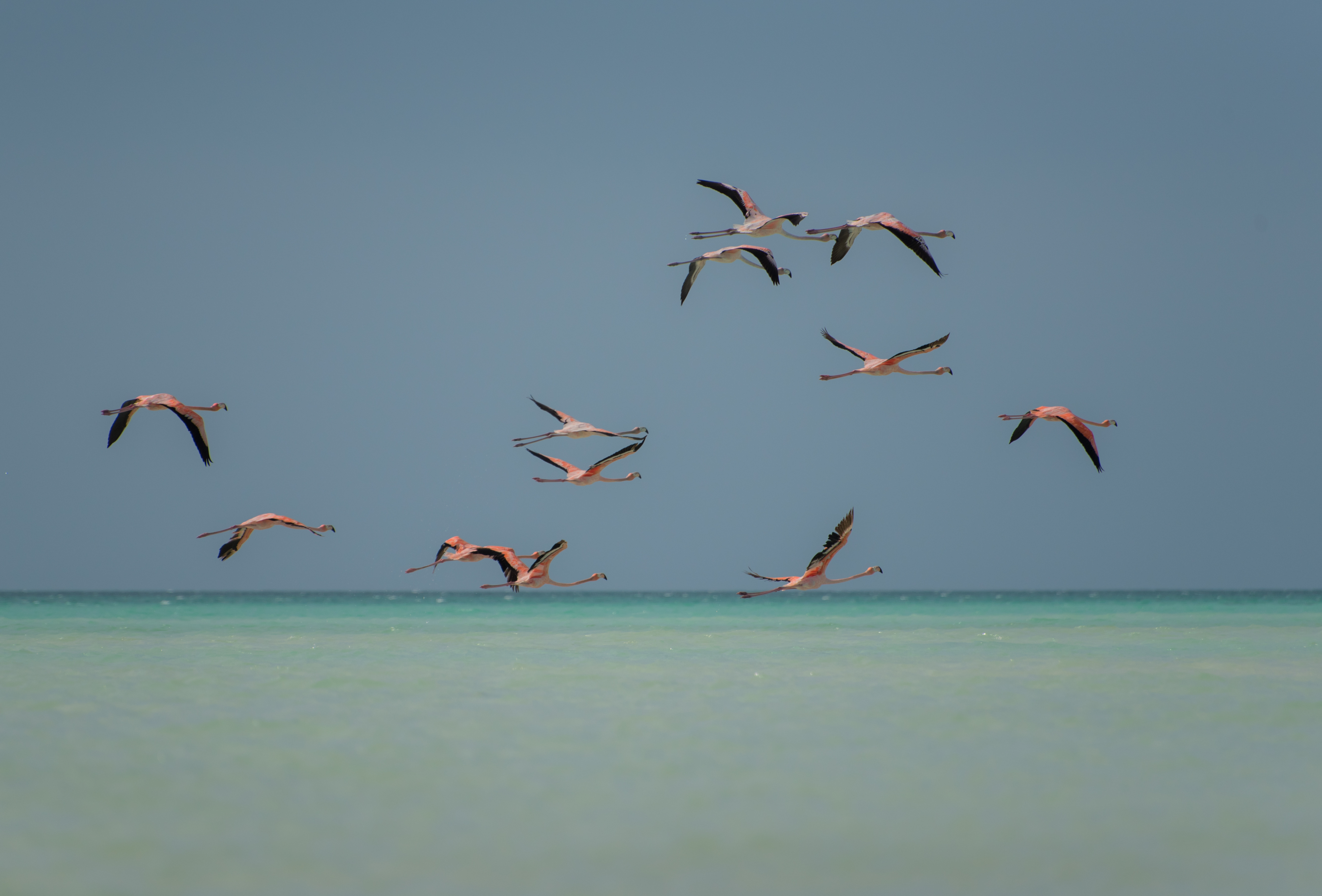 Shutterstock 1448504933