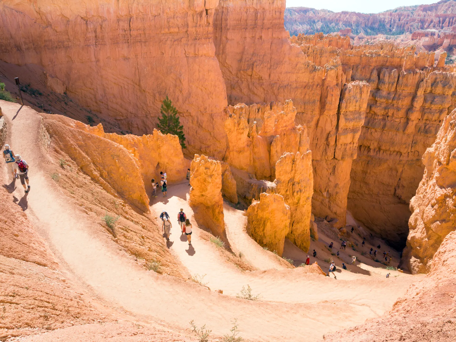 shutterstock_323095445 BRYCE CANYON NATIONAL PARK, descent down the trail of the Navajo..jpg