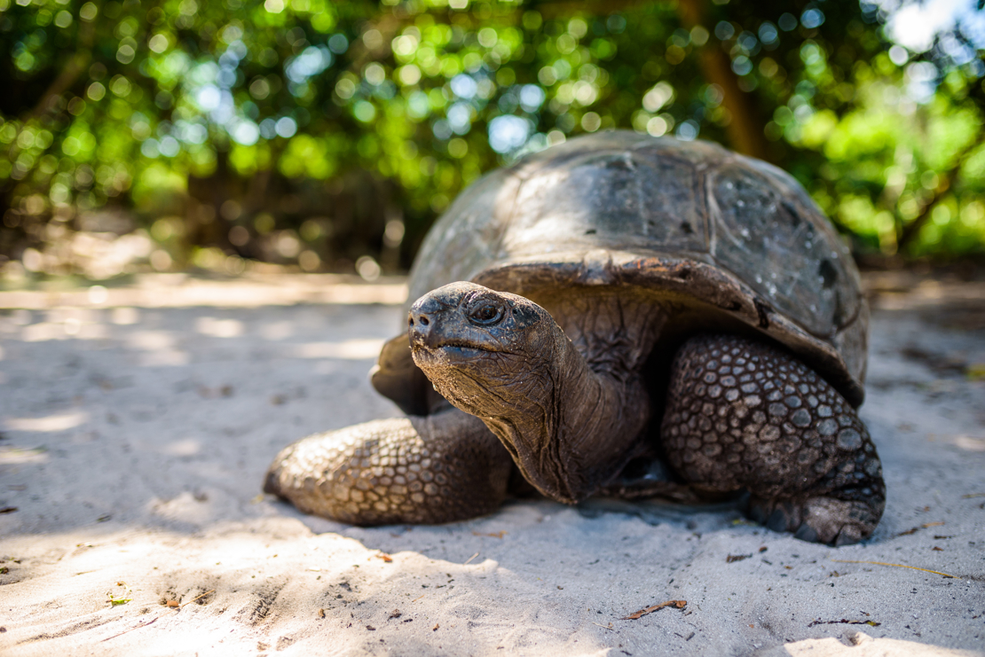 Praslin (1)
