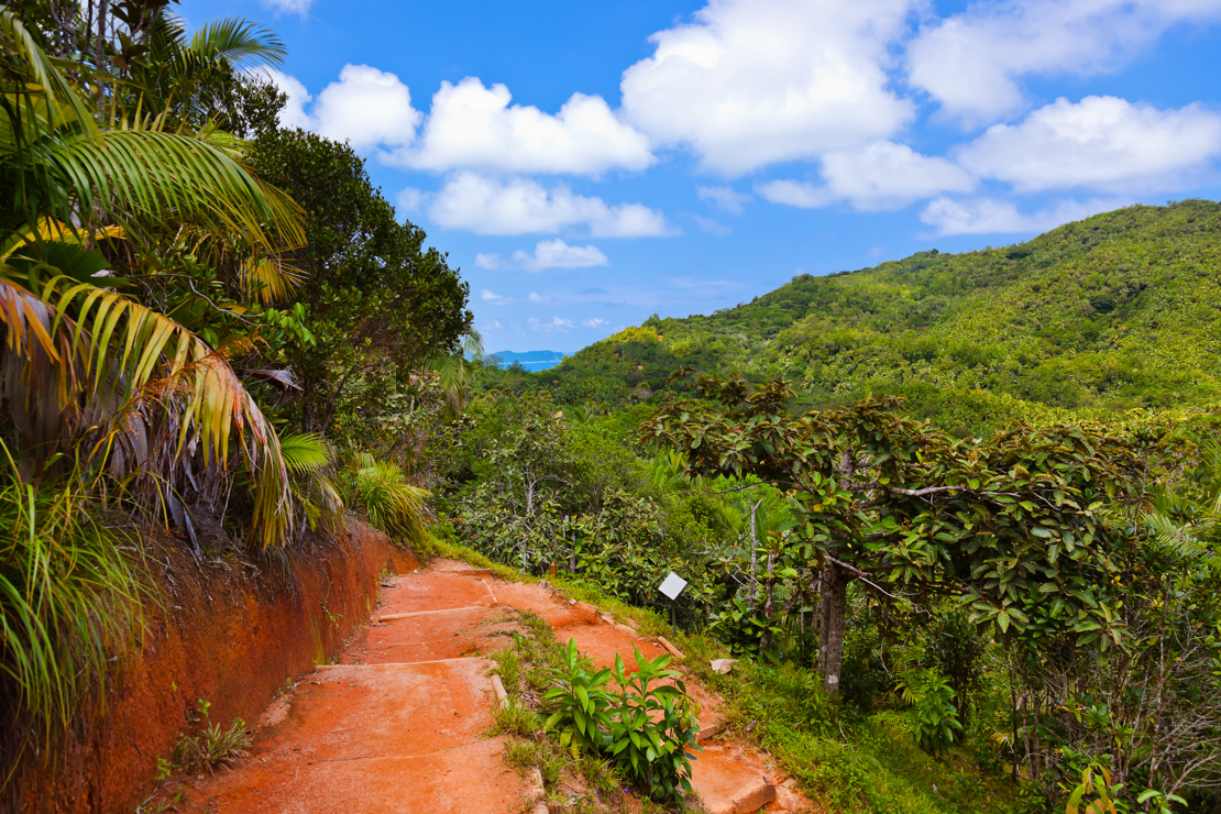 Vallee De Mai (3)