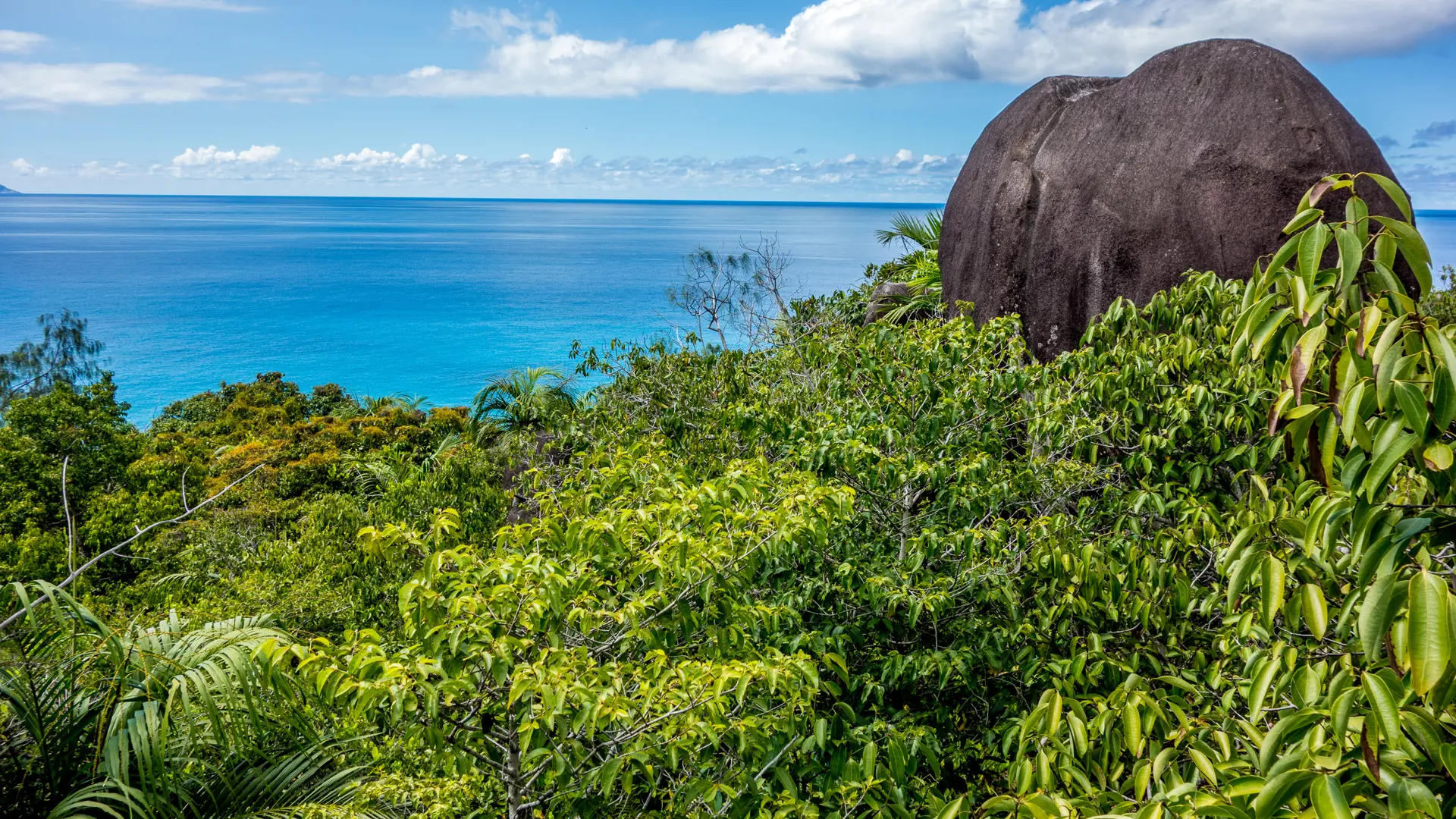 Morne Seychellois National Park In Mahe Seychelles Main Island