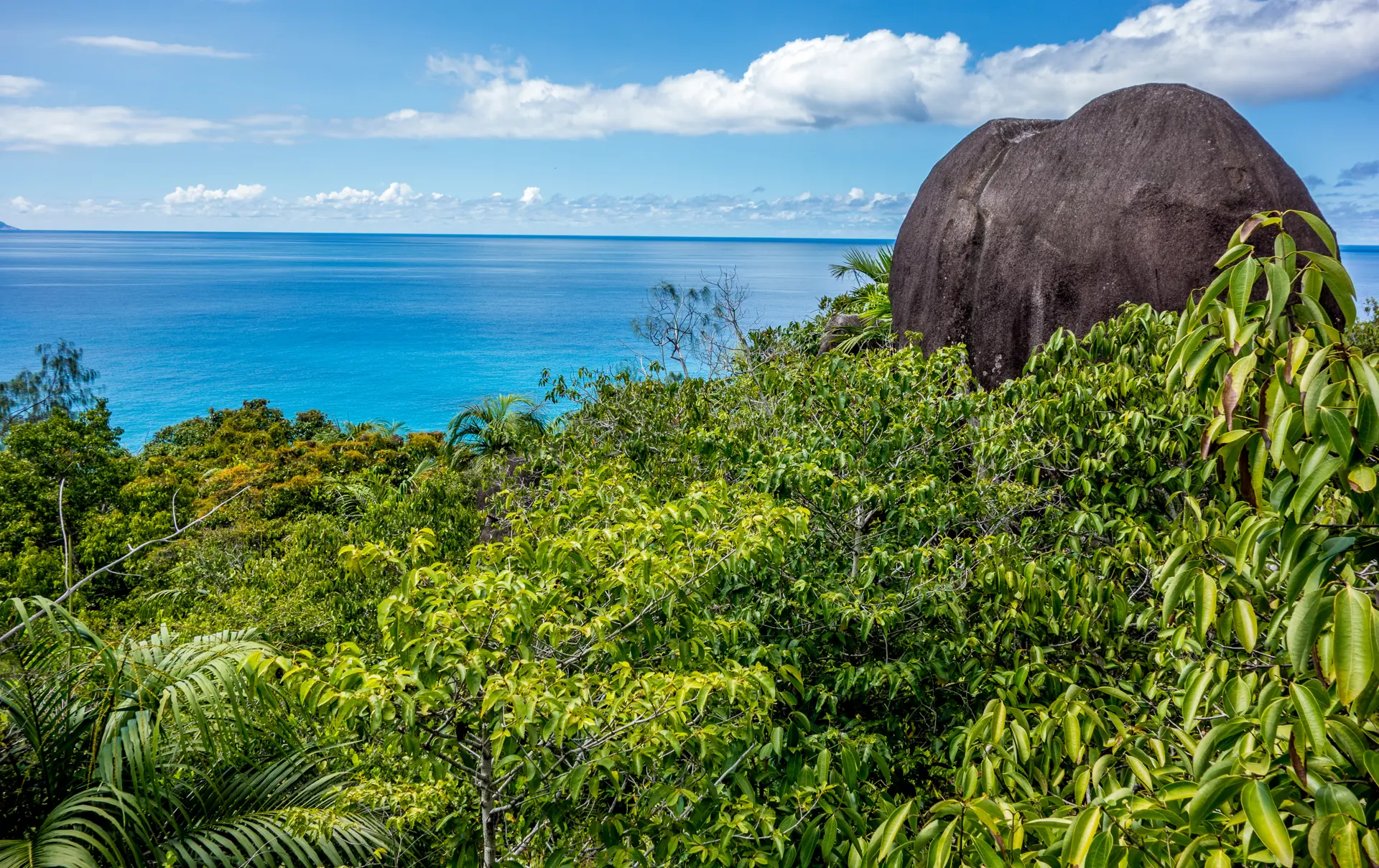 Morne Seychellois National Park In Mahe Seychelles Main Island