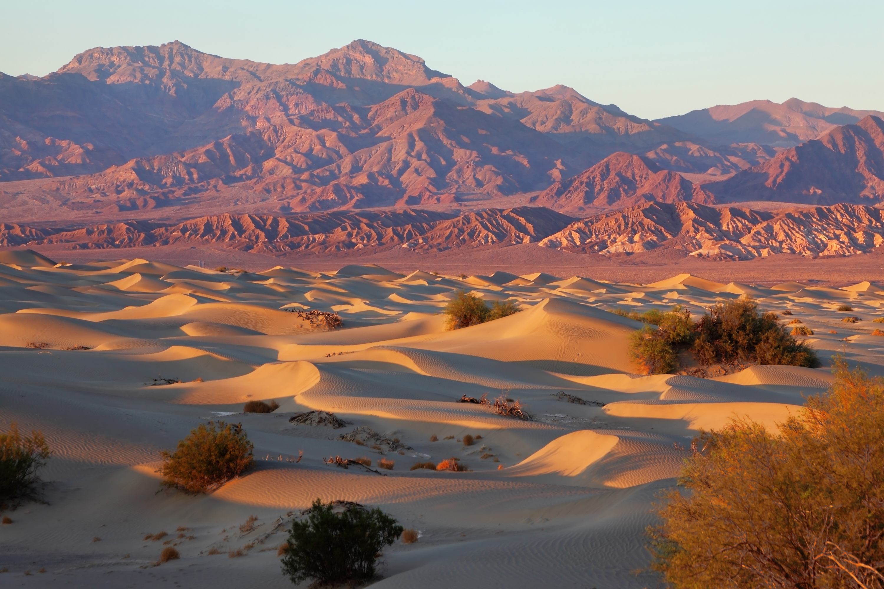 shutterstock_65177017 A unique place in Death Valley - Mesquete Flat Sand Dunes by the rising sun.jpg