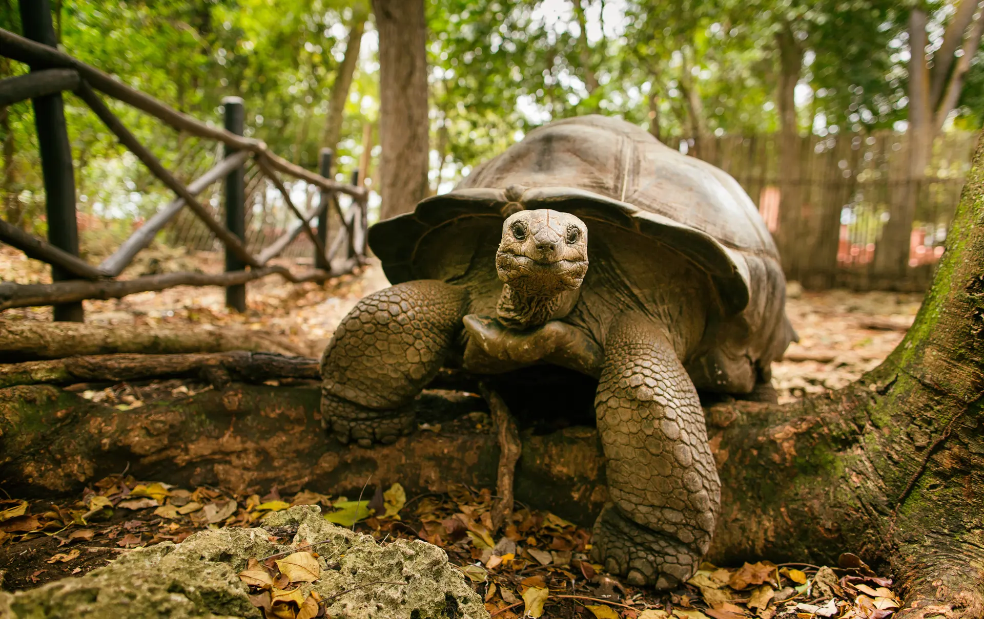 Shutterstock 352842305