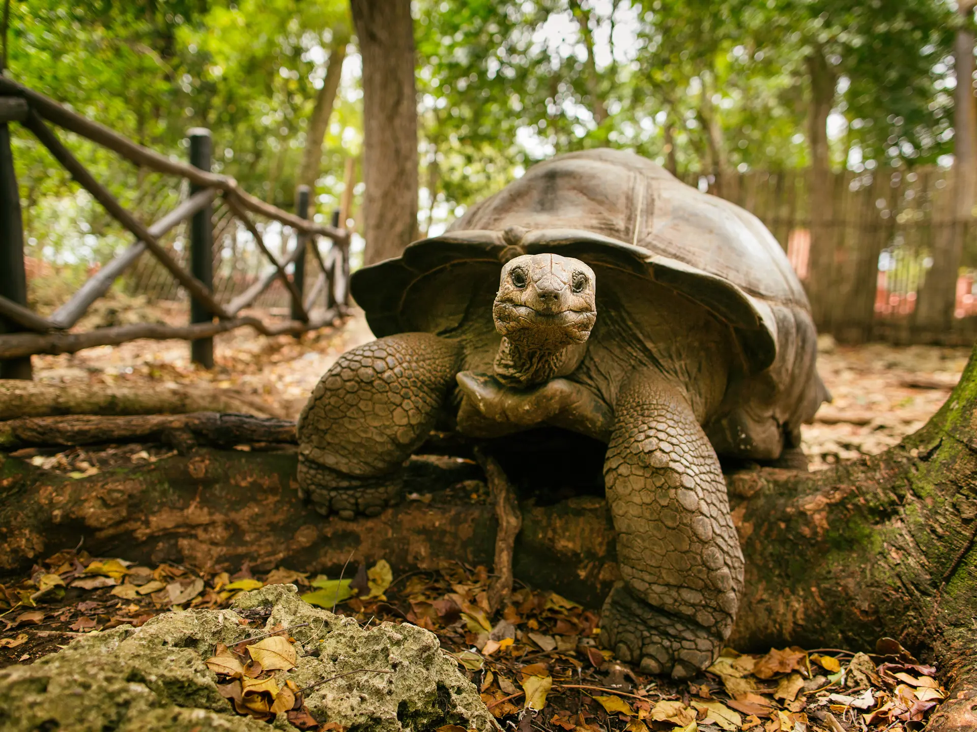 Shutterstock 352842305