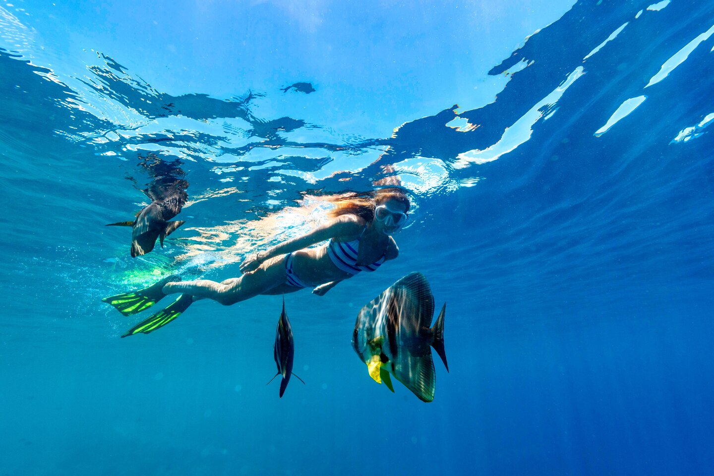 Mlesi Snorkeling 4397 Hor Clsc