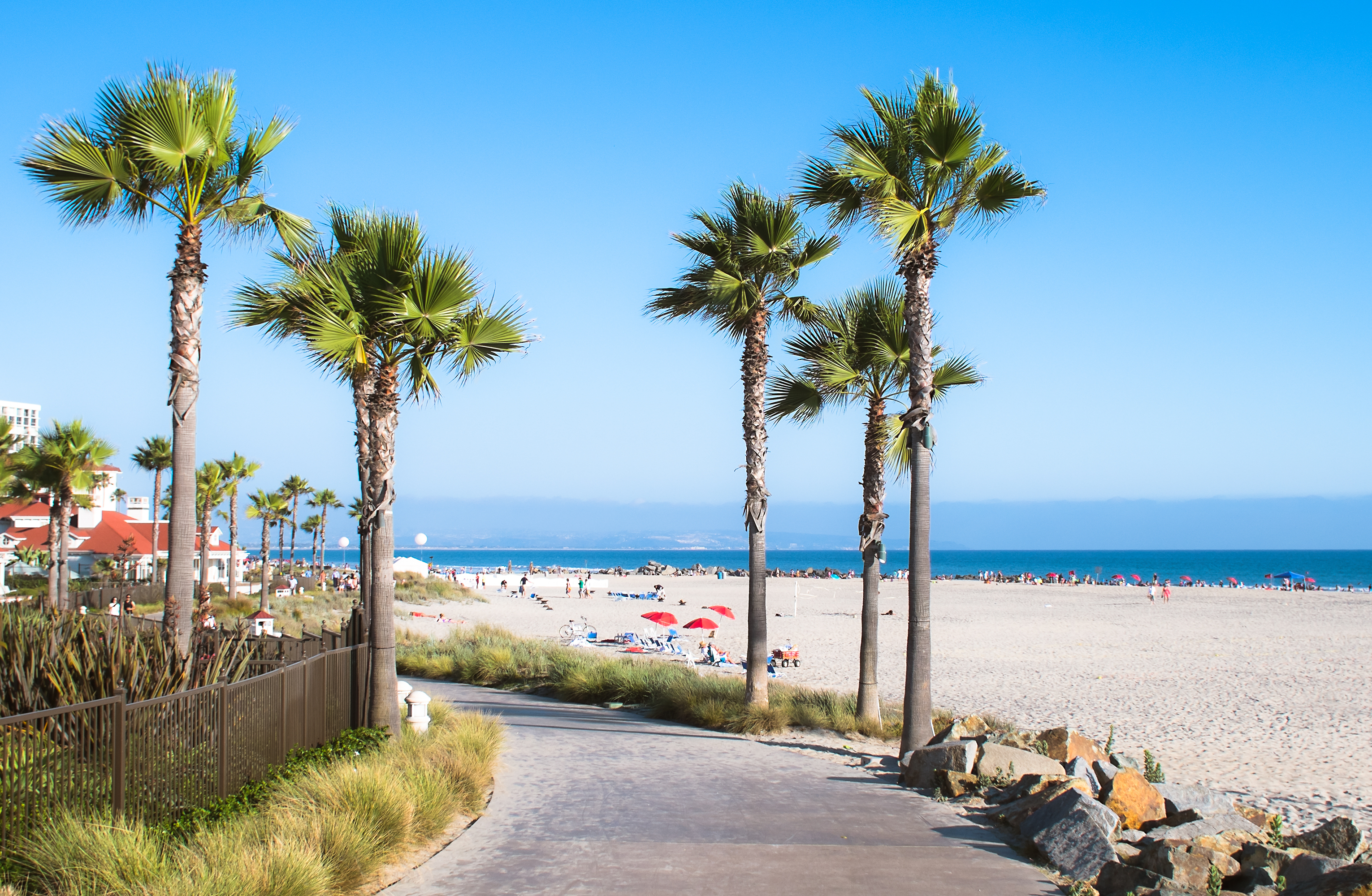 shutterstock_145985252 Beach and Palm Trees in San Diego, Southern California Coast, USA.jpg