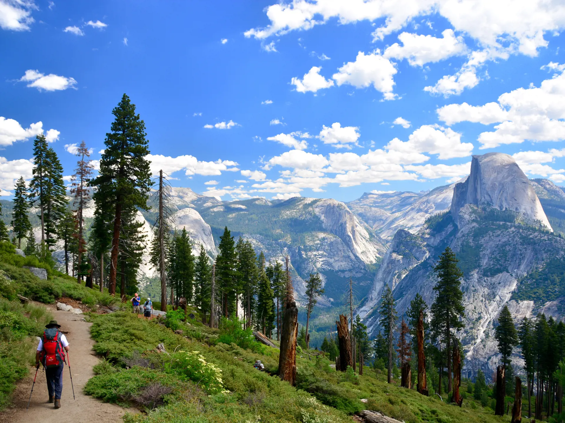 YOSEMITE NATIONALPARKEN - der er ikke noget at sige til, at Yosemite hører til blandt de absolut mest populære nationalparker i USA, naturscenerierne er ganske enkelt magiske, Check Point Travel