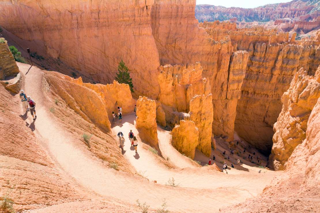 BRYCE CANYON - find vandrestøvlerne frem og gå på opdagelse mellem de høje sandsøjler, Check Point Travel