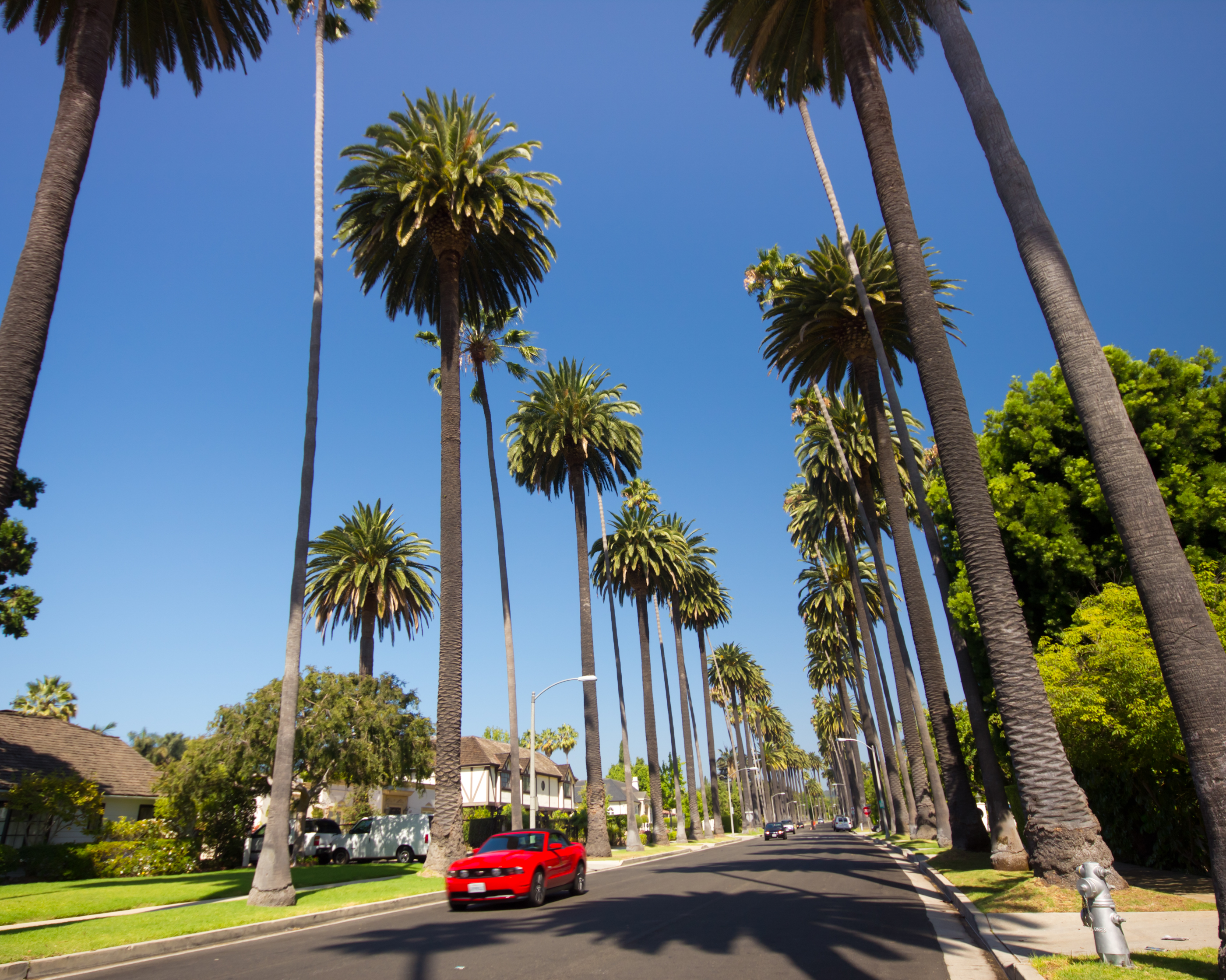 shutterstock_112091408  Beverly Hills is world-famous for its luxurious culture and famous residents..jpg