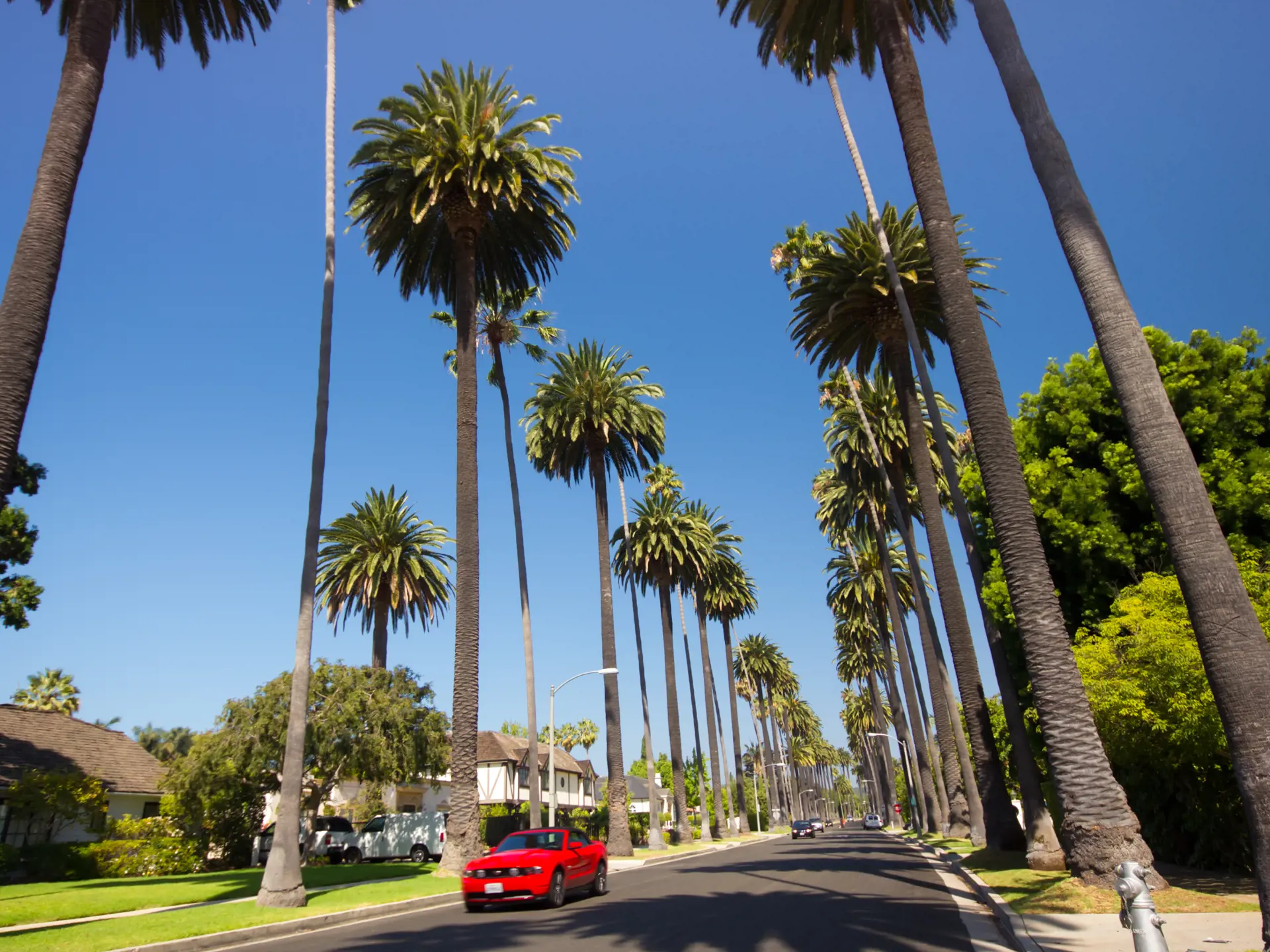 shutterstock_112091408  Beverly Hills is world-famous for its luxurious culture and famous residents..jpg