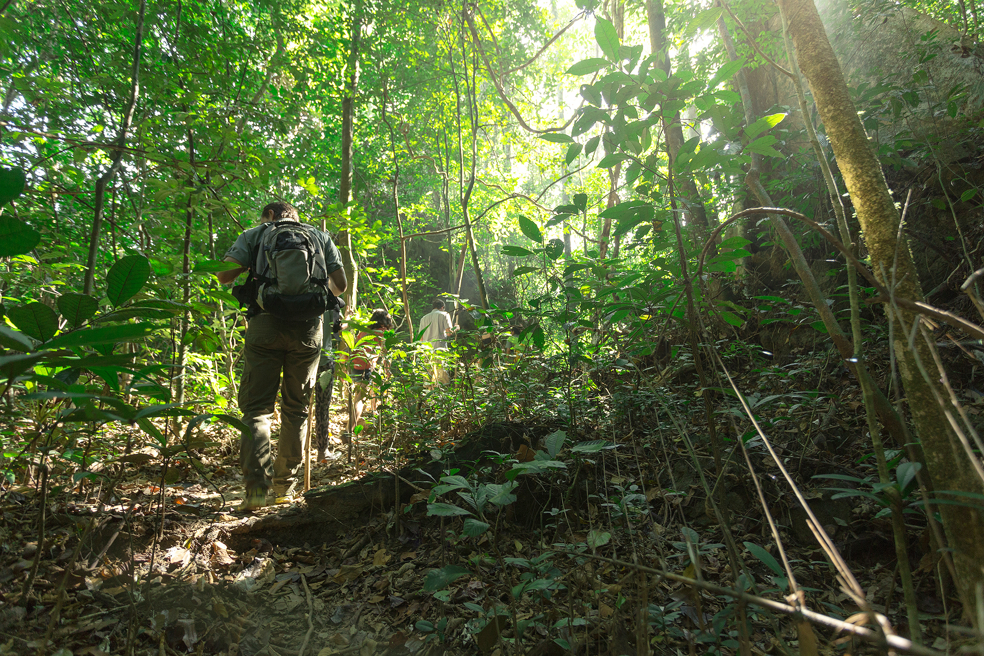 T Elephant Hills Luxury Tented Camp Khao Sok National Park Thailand Activities Jungle Trekking 2