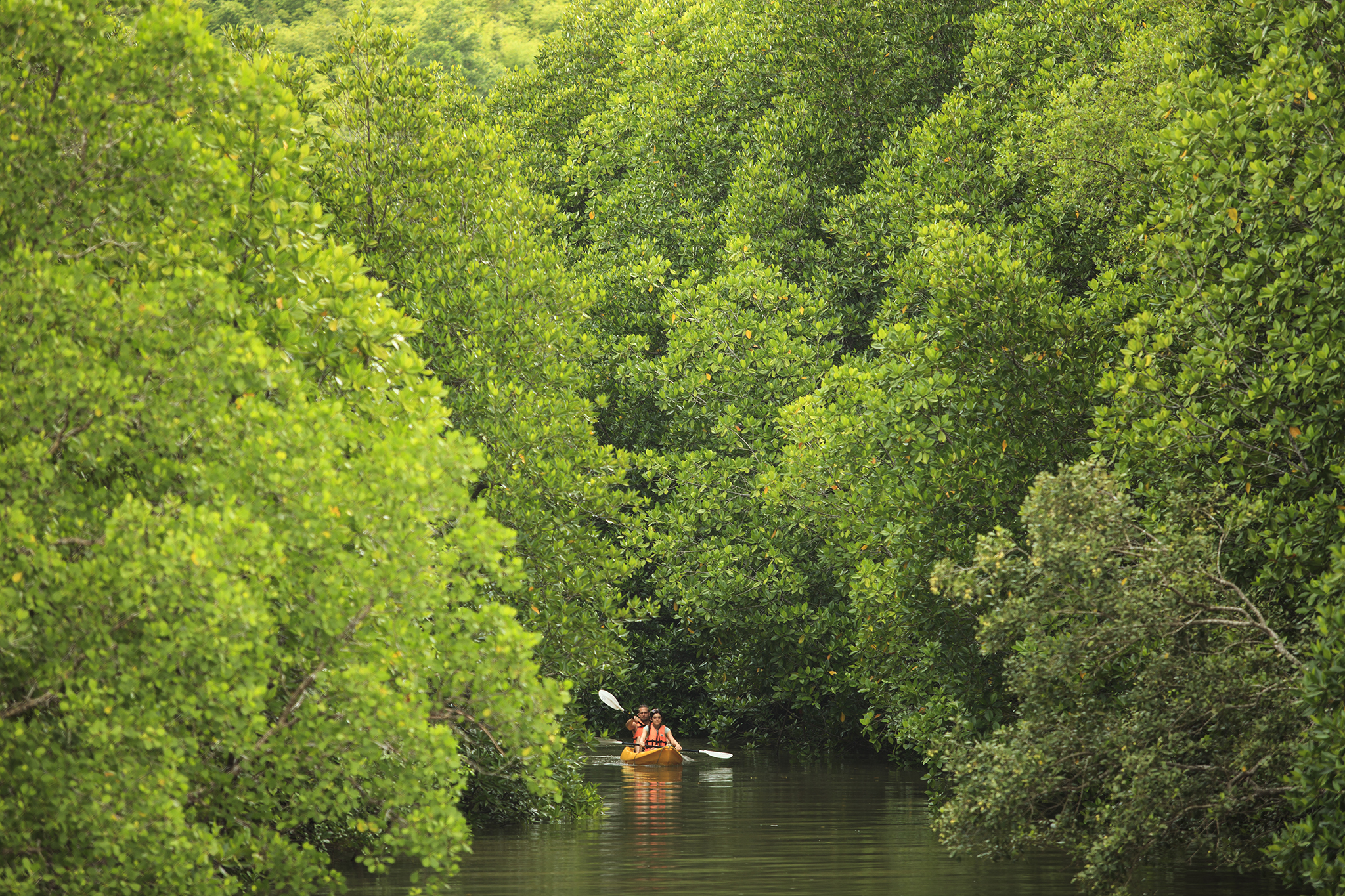 T Elephant Hills Luxury Tented Camp Khao Sok National Park Thailand Nature Safari Tour (NS4) 3