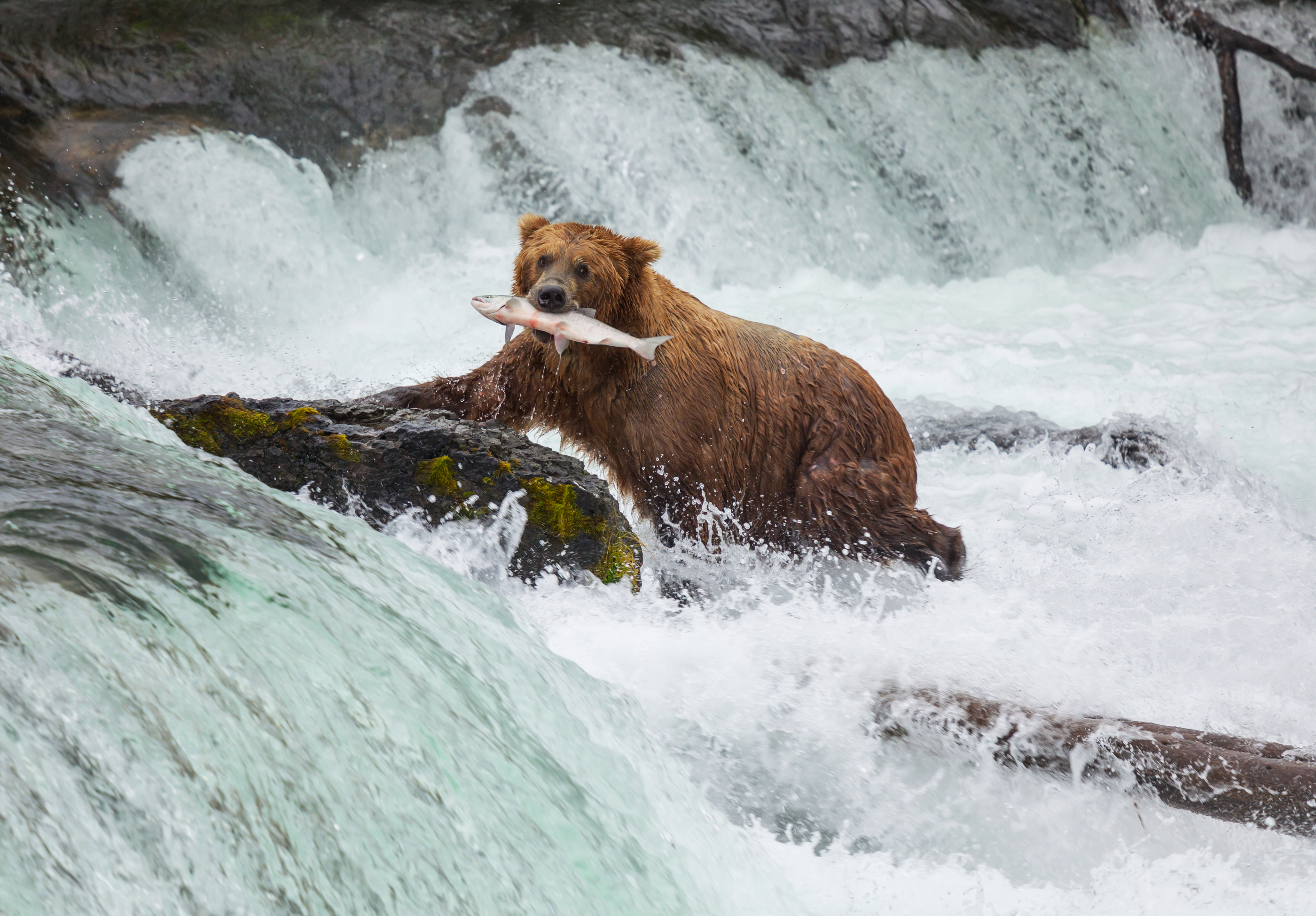 dag 7.3 shutterstock_122298169 Yosemite waterfall.jpg