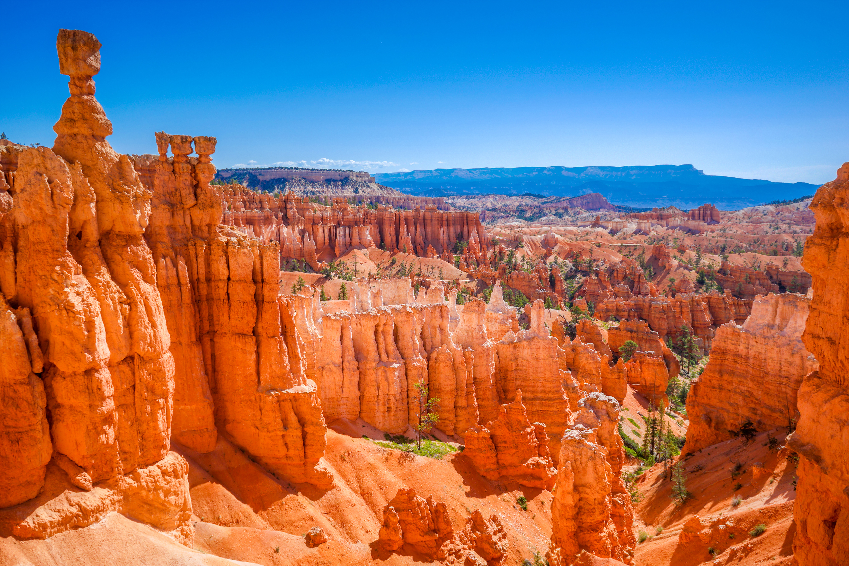 dag 12-13shutterstock_232015471 The Bryce Canyon National Park, Utah, United States.jpg